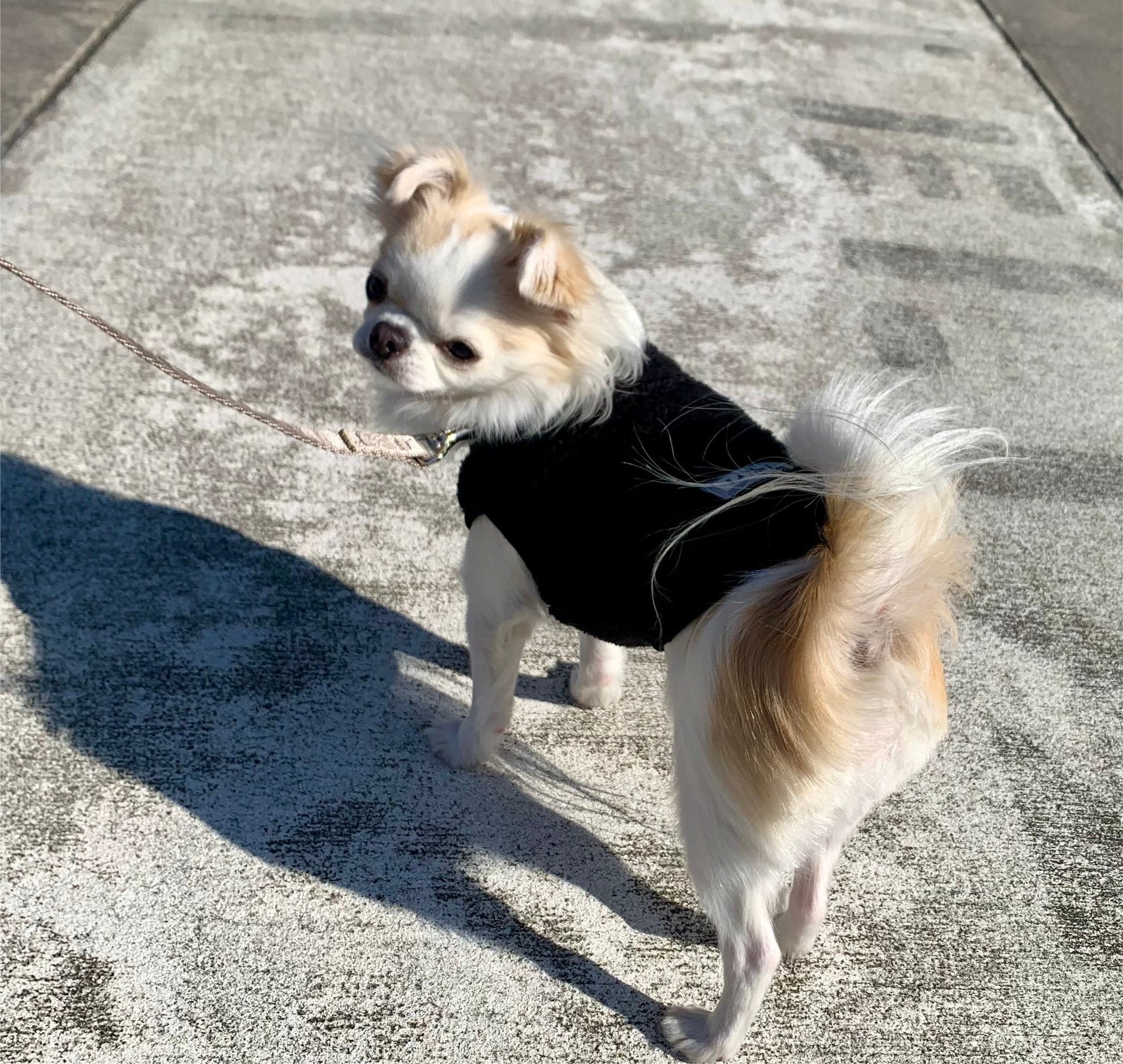 New ストレッチボアフリース T