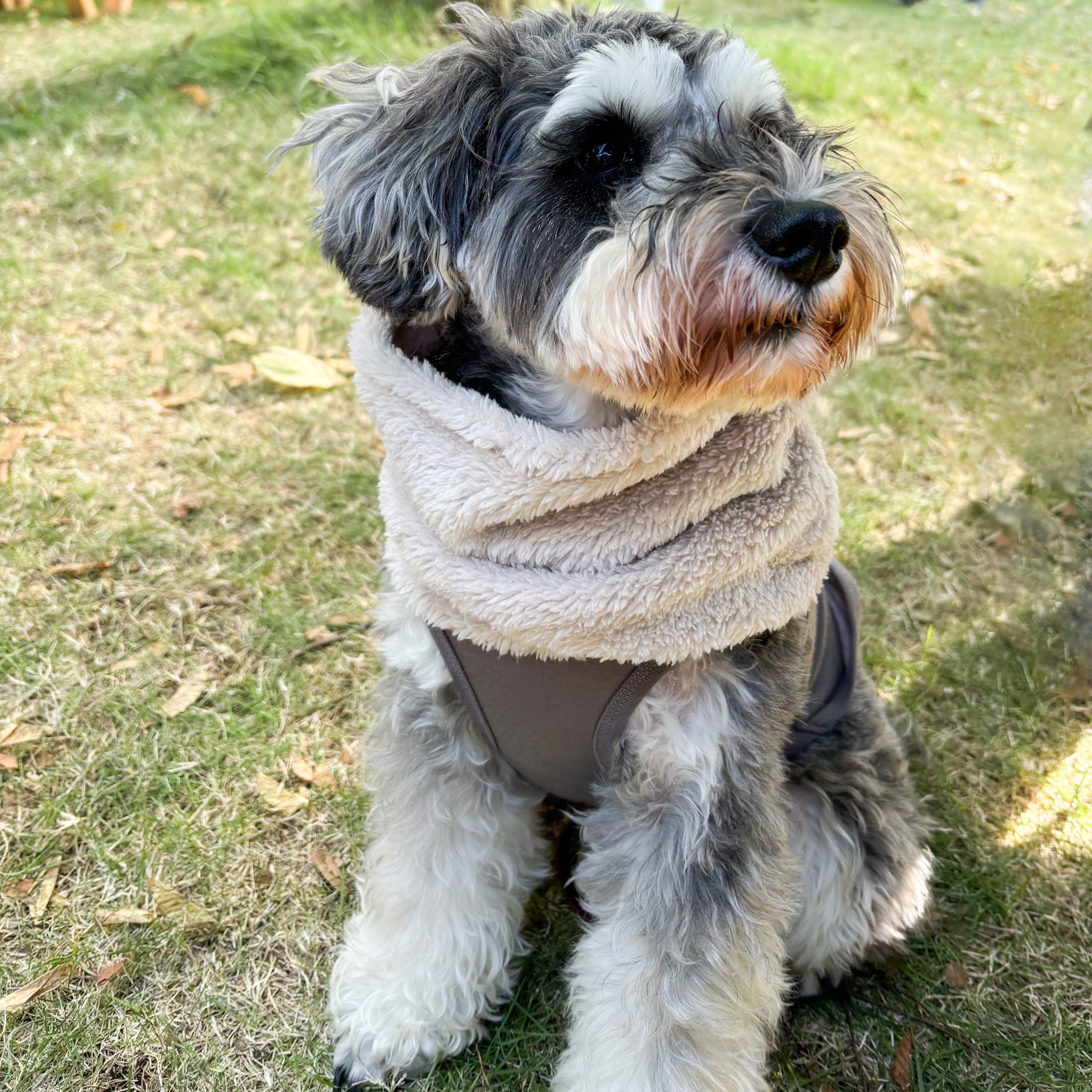 Newストレッチボアフリース スヌード