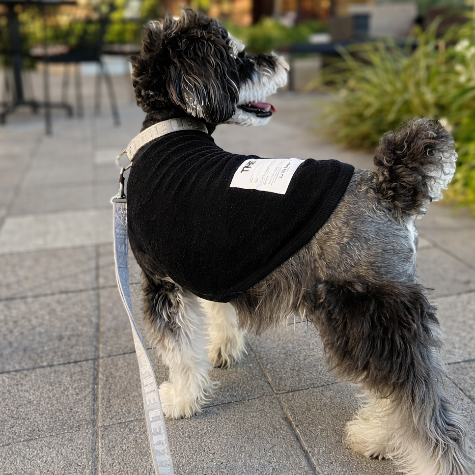 ベルギーリネン ストレッチパイルT