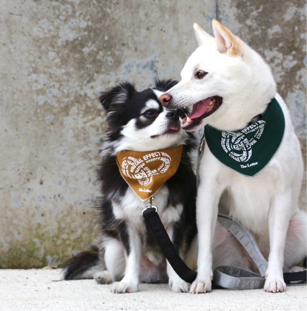 保護活動支援“WAGTAIL EFFECT”ペットバンダナ（グリーン、マスタード）