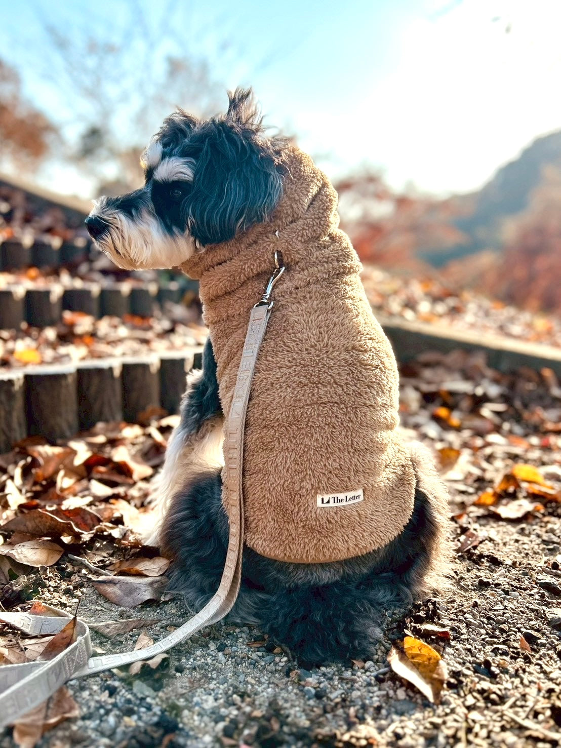 New ストレッチボアフリース T