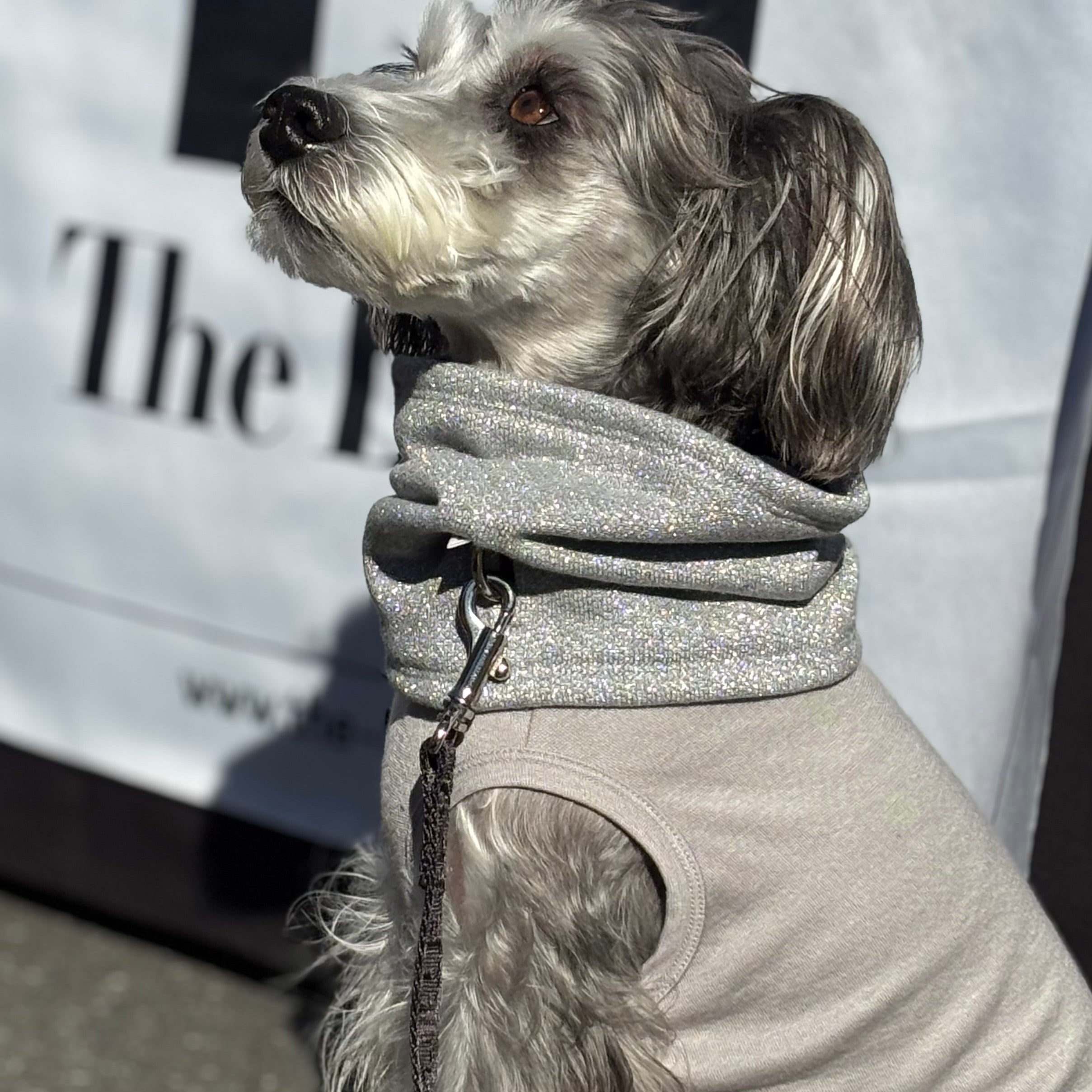 eco/THEスーパーストレッチ ウォーム T