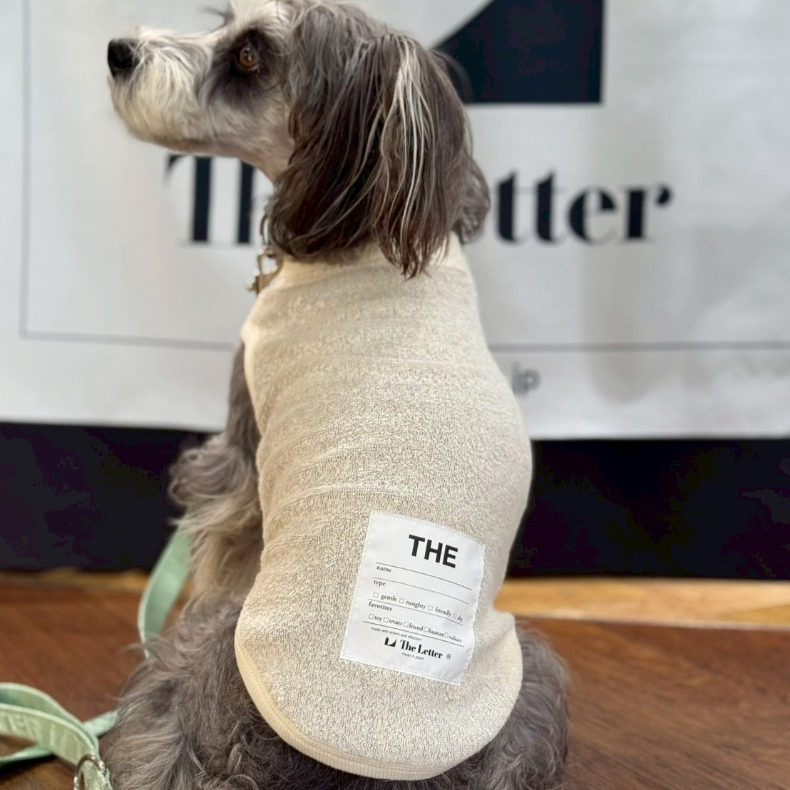 ベルギーリネン ストレッチパイルT