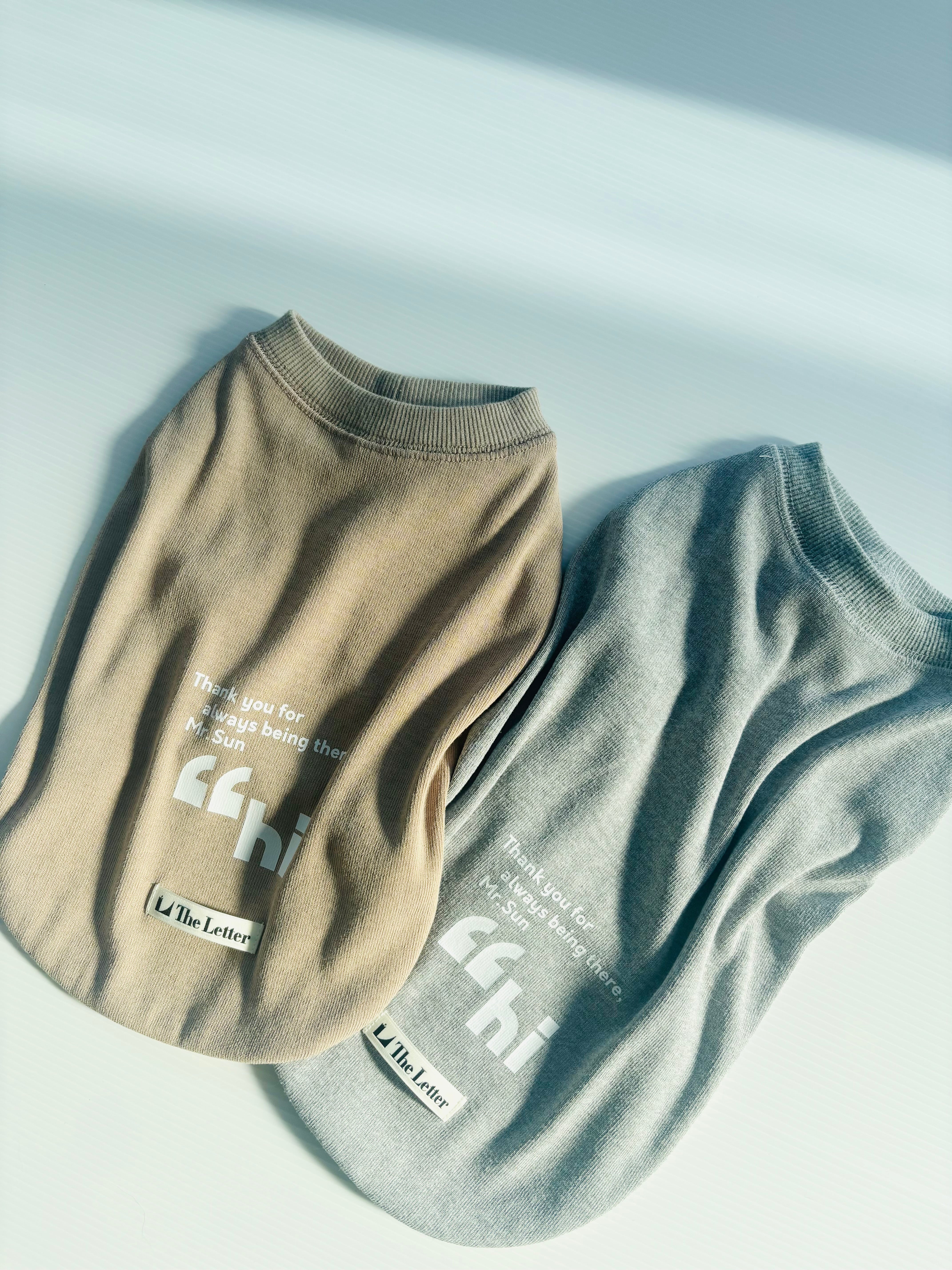 Professhional “hi オーナーズTシャツ