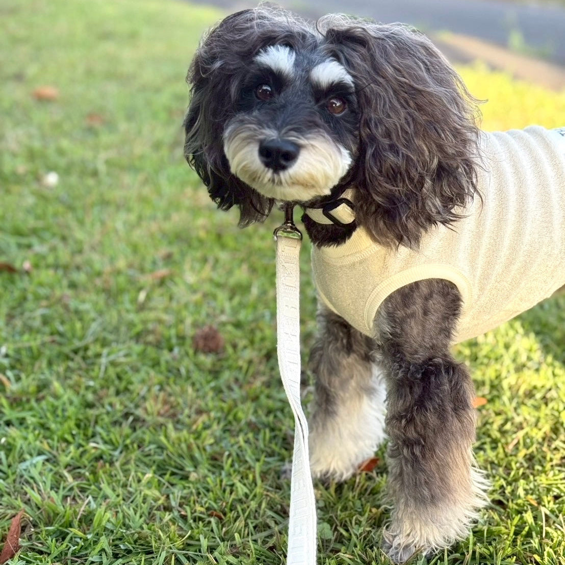 ベルギーリネン ストレッチパイルT