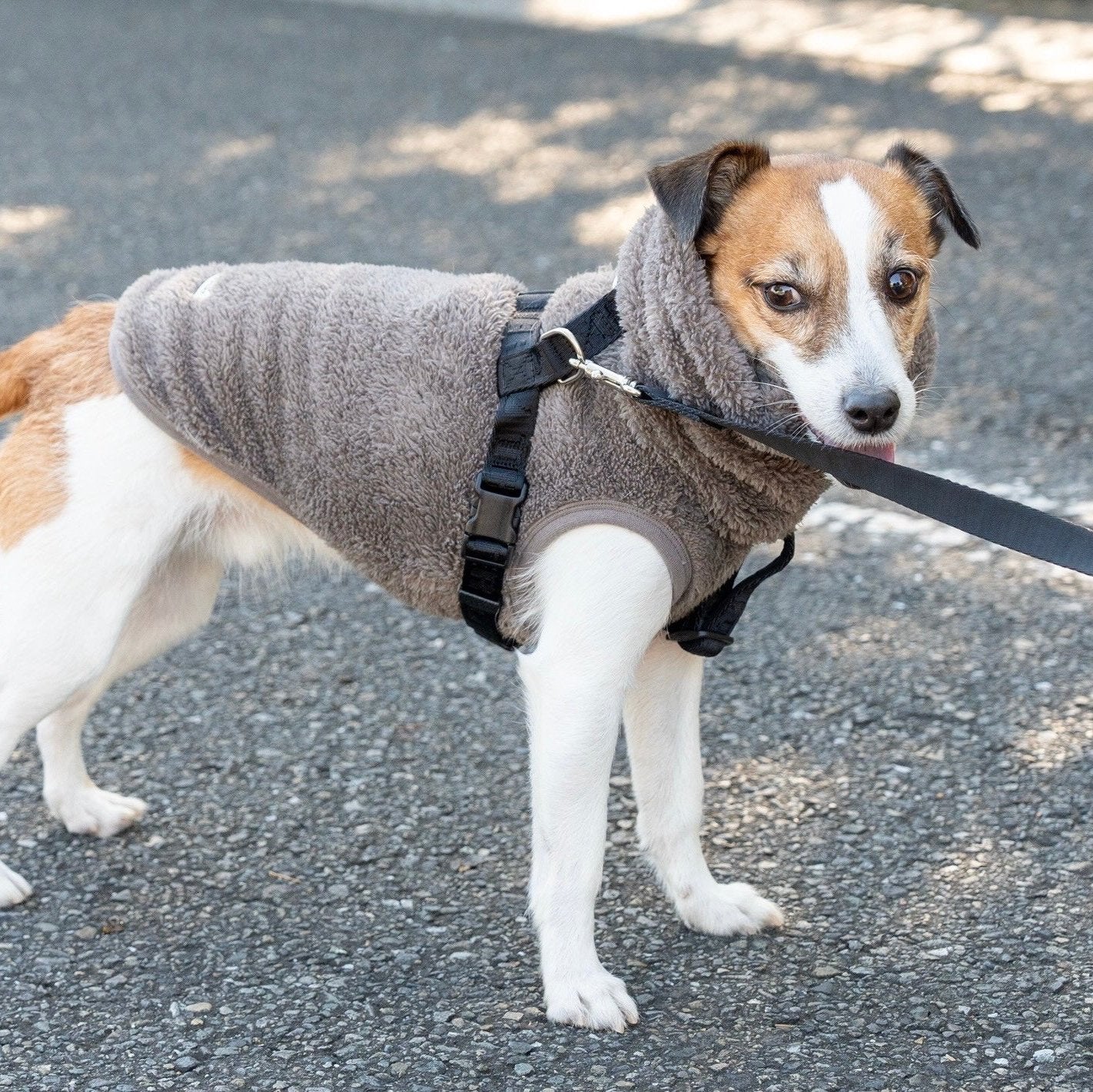 New ストレッチボアフリース T