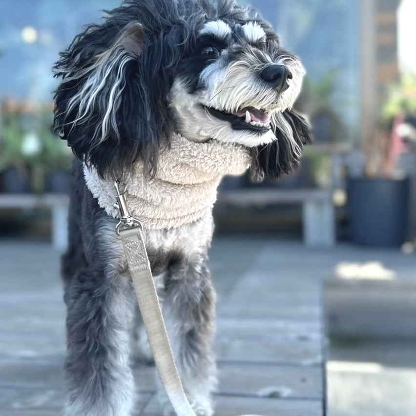 Newストレッチボアフリース スヌード