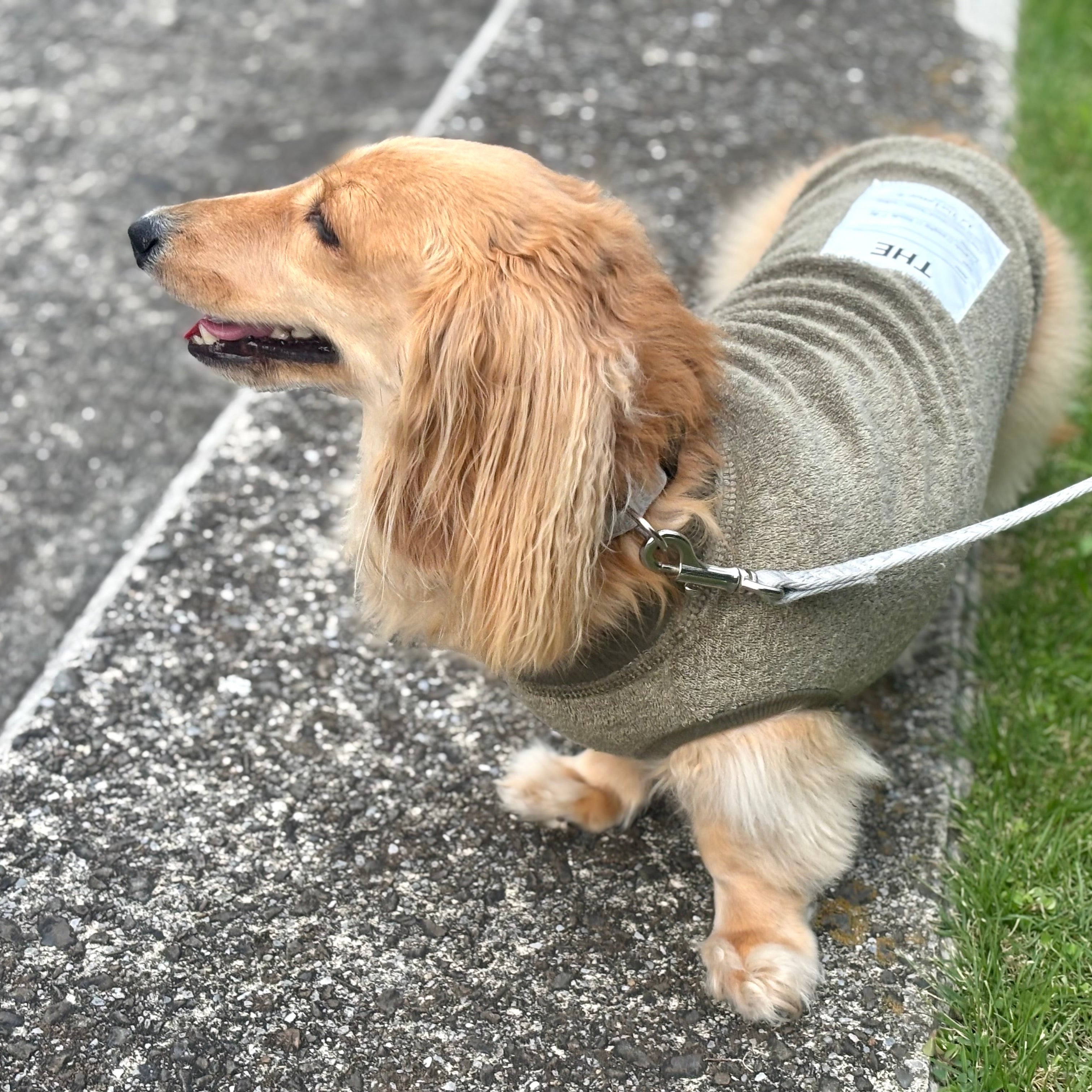 ベルギーリネン ストレッチパイルT