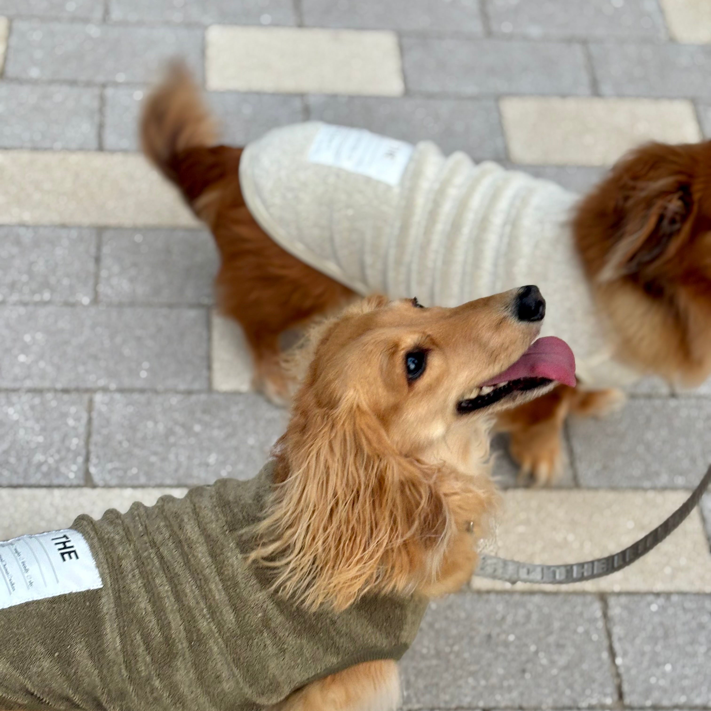 ベルギーリネン ストレッチパイルT