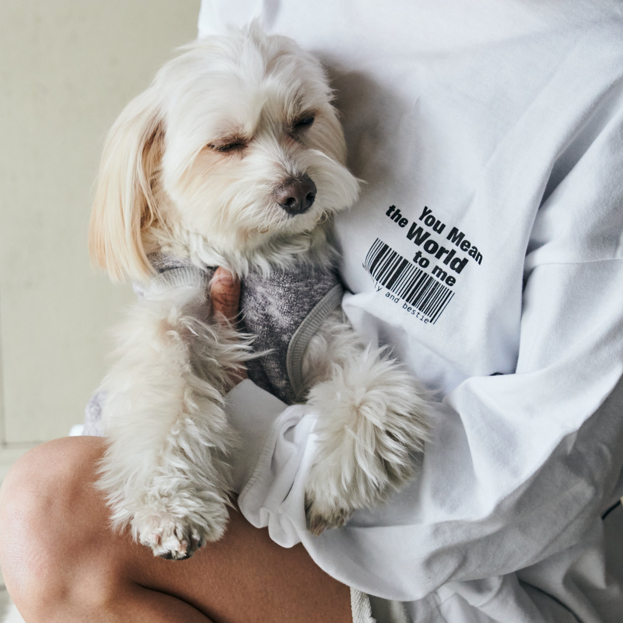 “THE”about my partner Tシャツ(半袖)