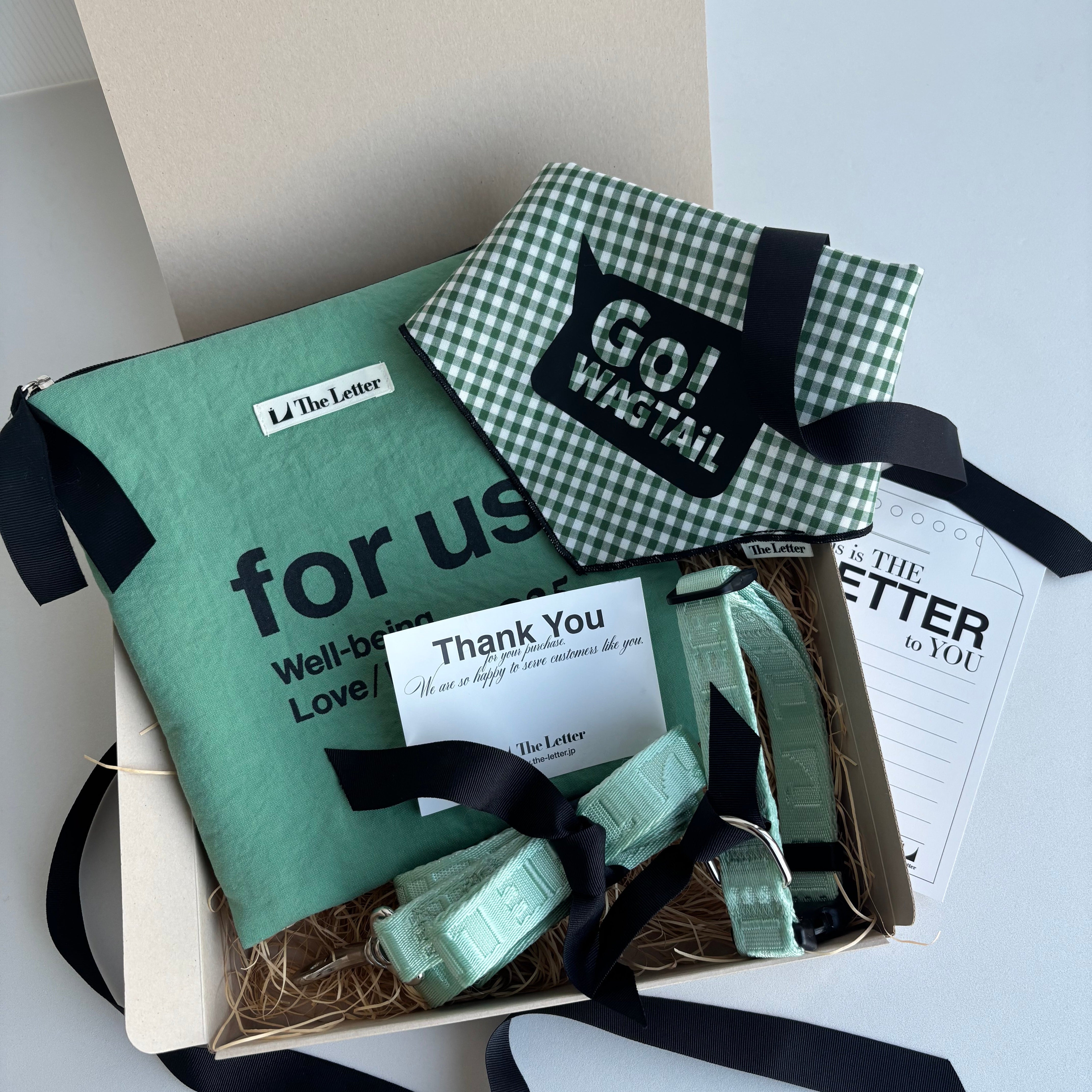 Lucky Box 2025 カラーセットS,Mサイズ(ミントグリーン)