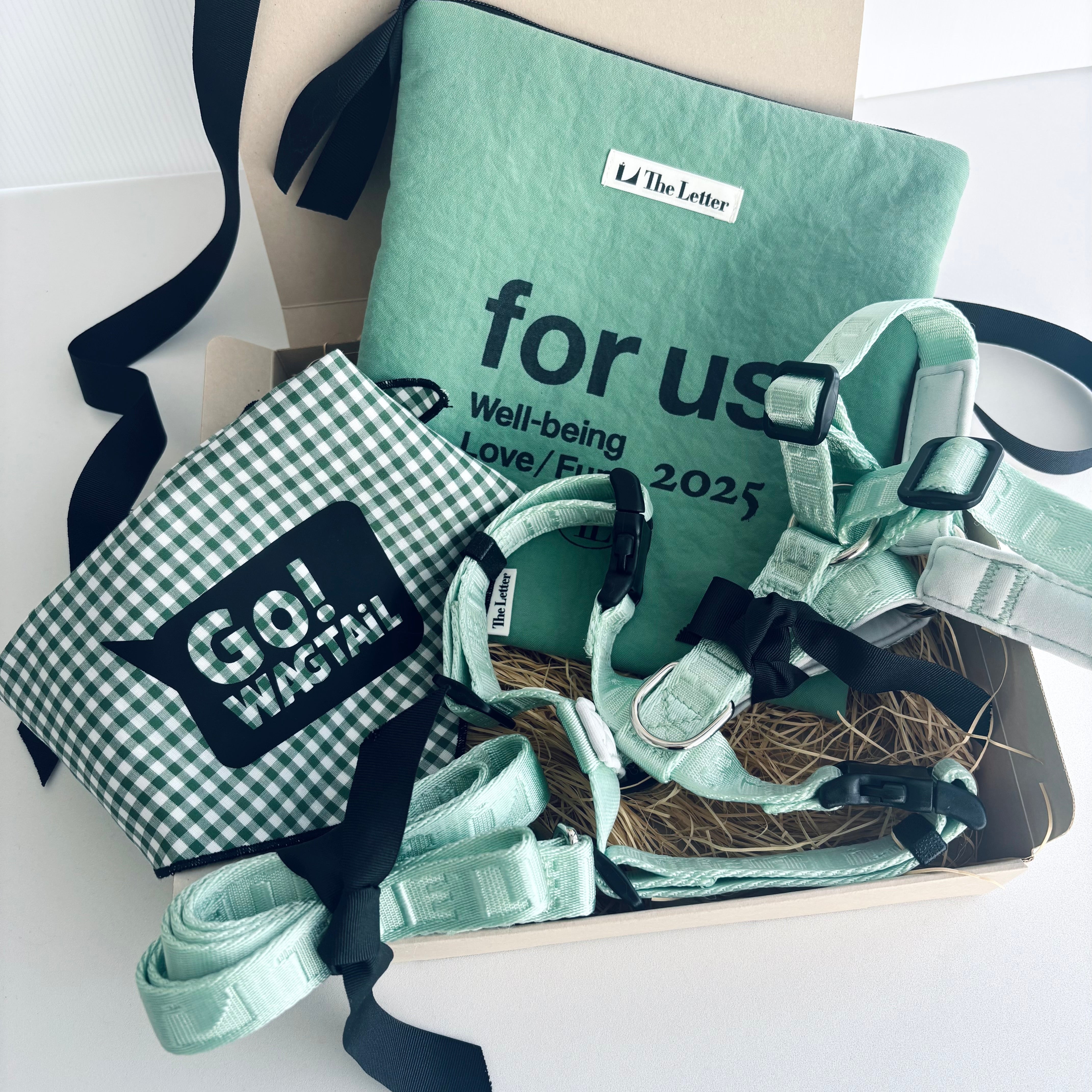 Lucky Box 2025 ハーネスセットS,Mサイズ(ミントグリーン)