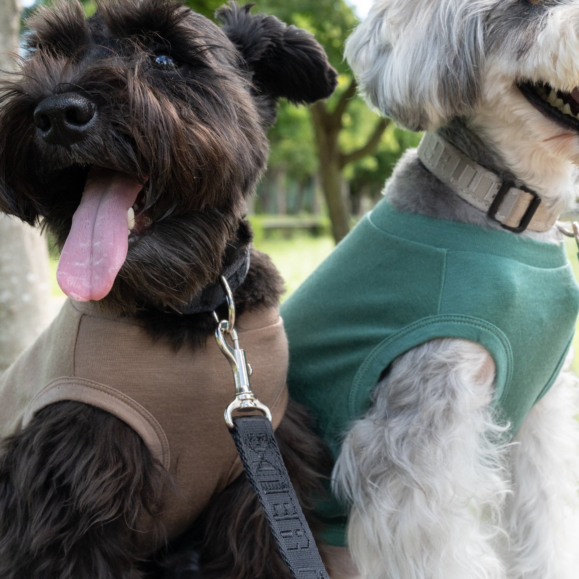 eco/THEスーパーストレッチ ウォーム T