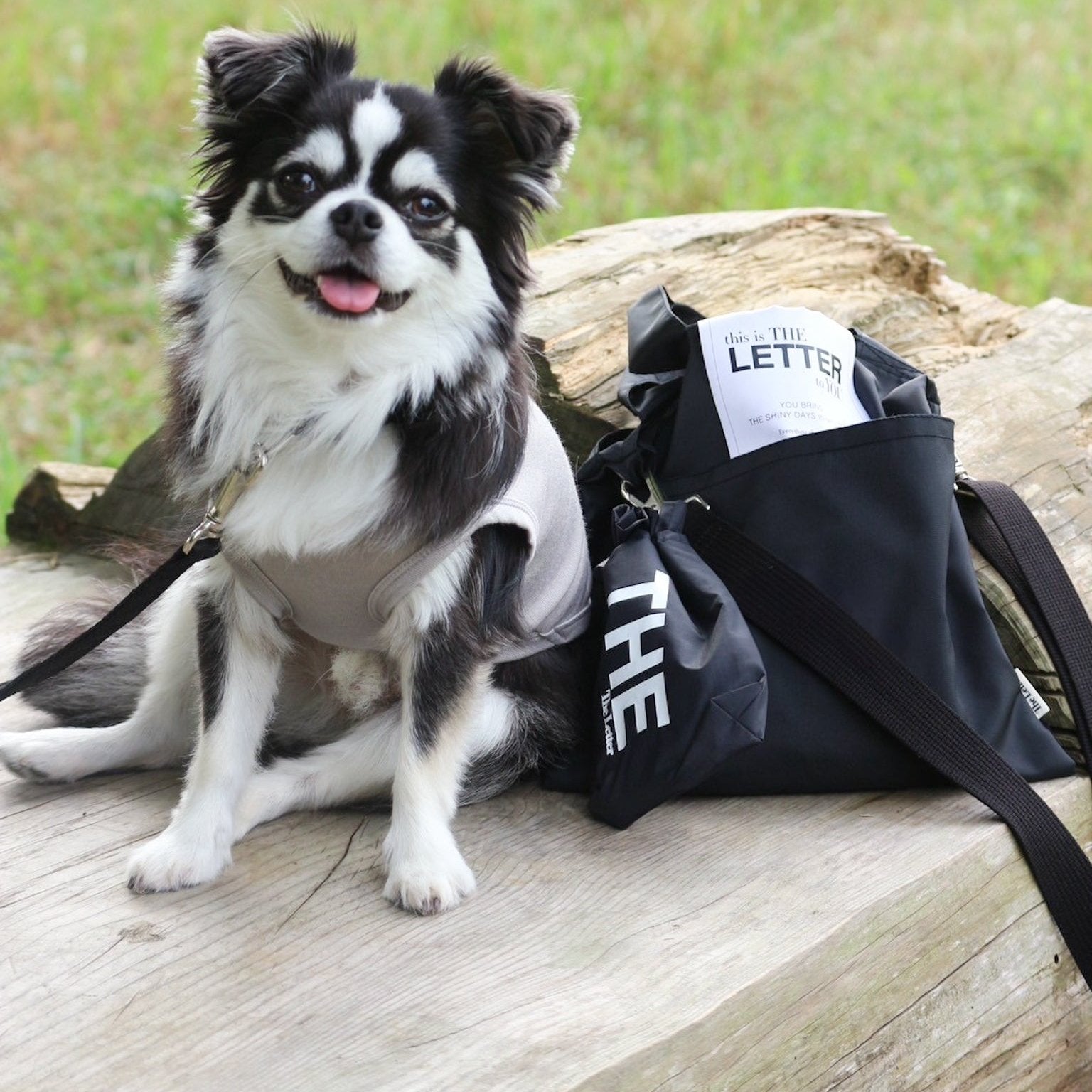 eco/THE mini マルチポーチS(ブラック/ベージュ/ライトグレー)