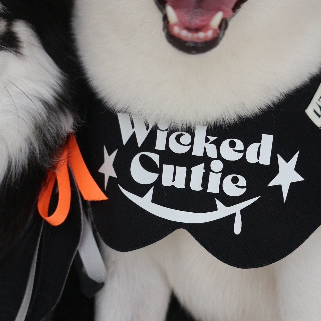 Wicked Cutie ハロウィンビブ