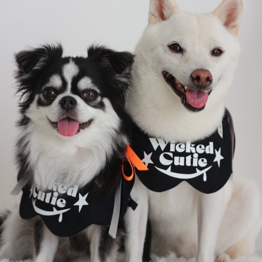 Wicked Cutie ハロウィンビブ