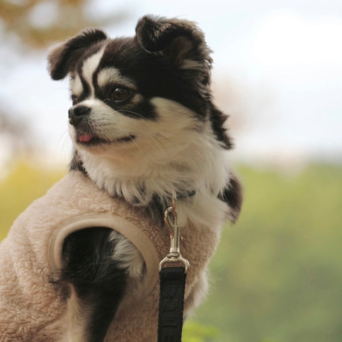 New ストレッチボアフリース T