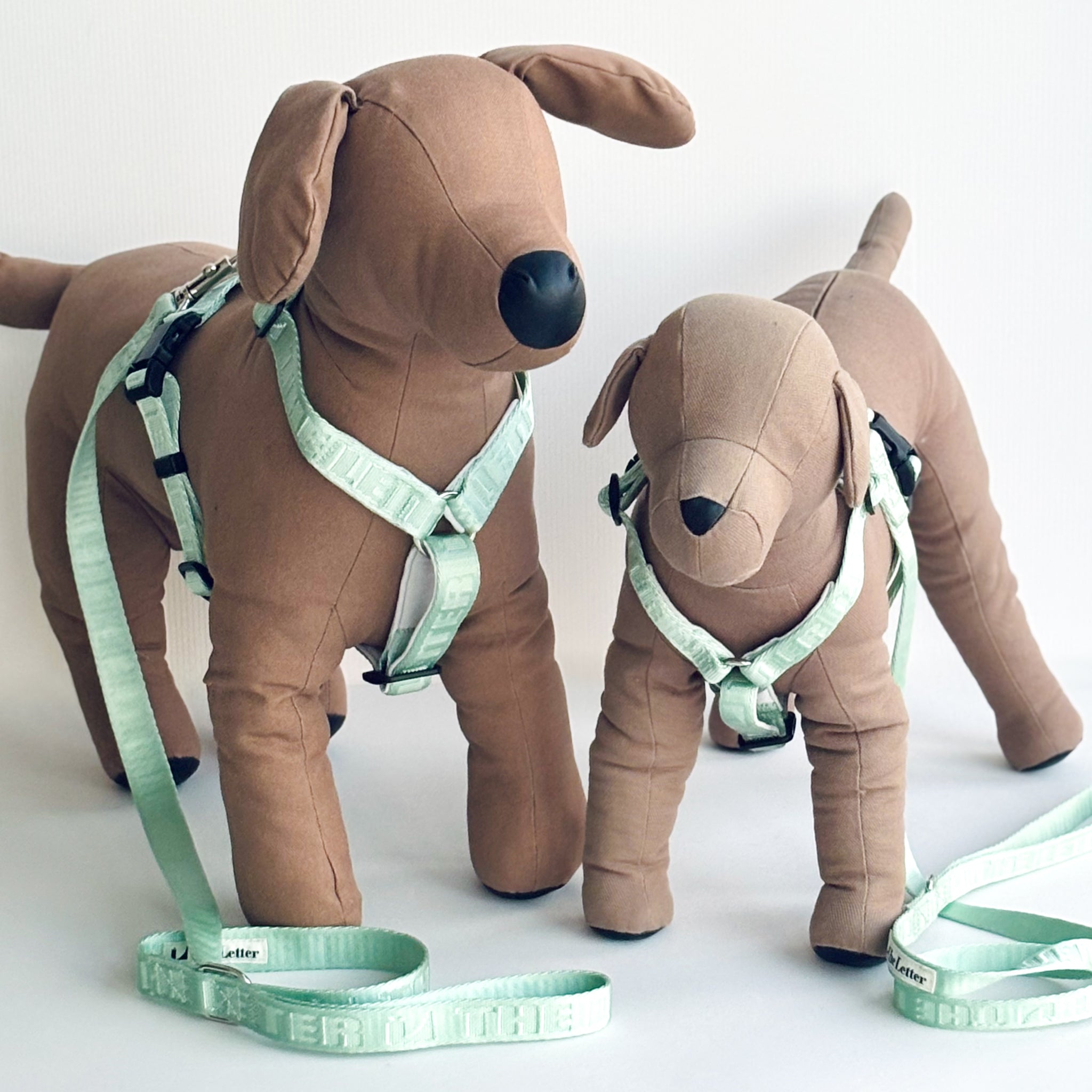 Lucky Box 2025 ハーネスセットS,Mサイズ(ミントグリーン)