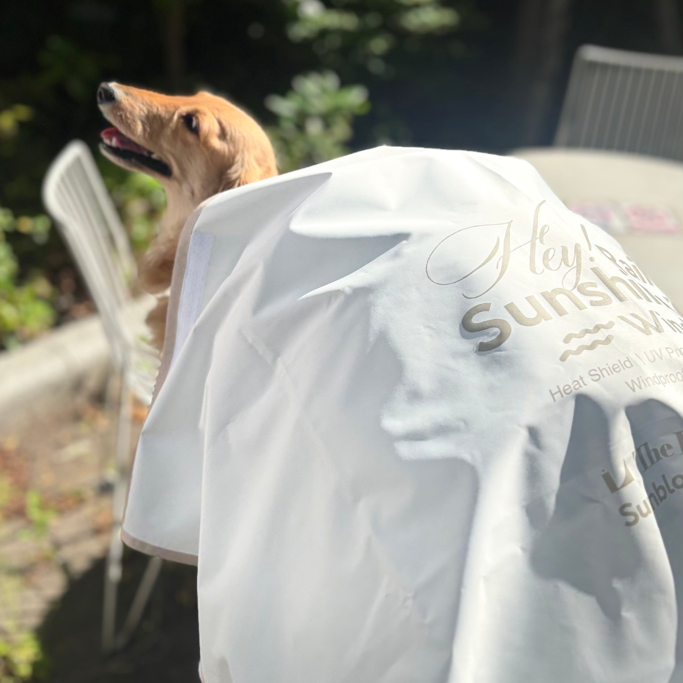 サンブロックおまもりクロス | 犬の日よけ・暑さ対策