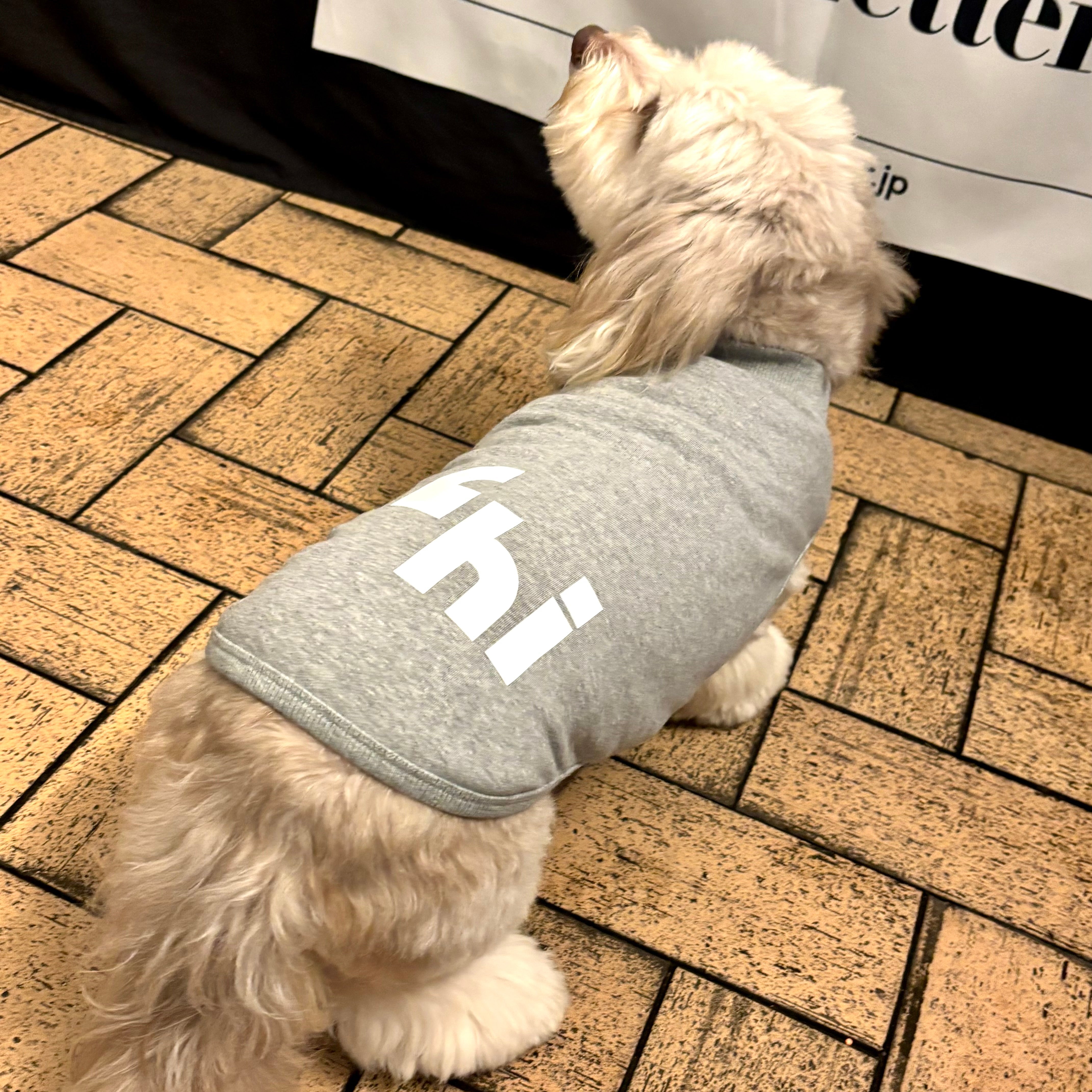 360 スーパーストレッチコットン裏毛”hi"蓄光T(ブラック/グレー)