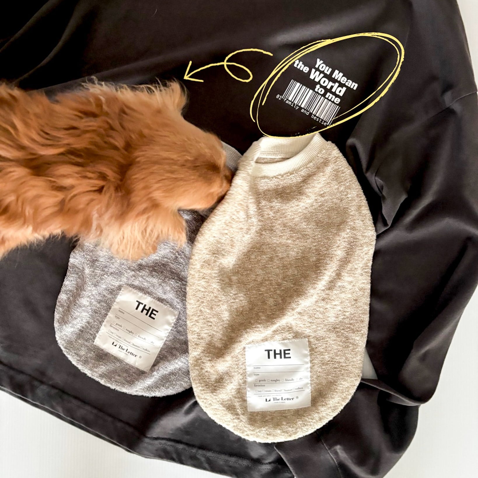 “THE”オーナーズビッグロンT (長袖)