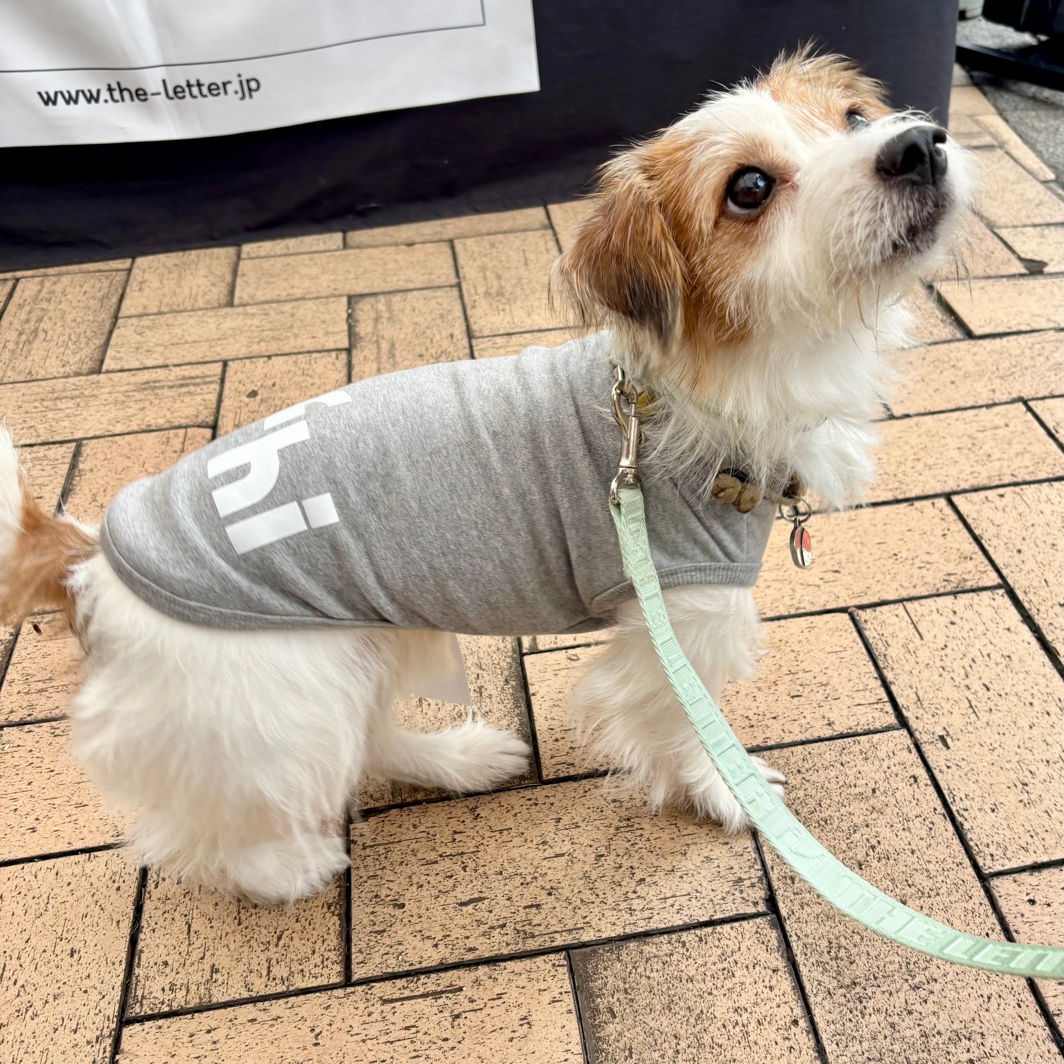 360 スーパーストレッチコットン裏毛”hi"蓄光T(ブラック/グレー)