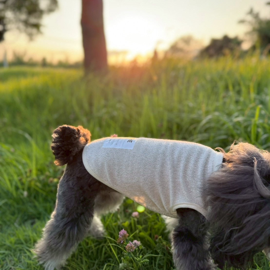 ベルギーリネン ストレッチパイルT