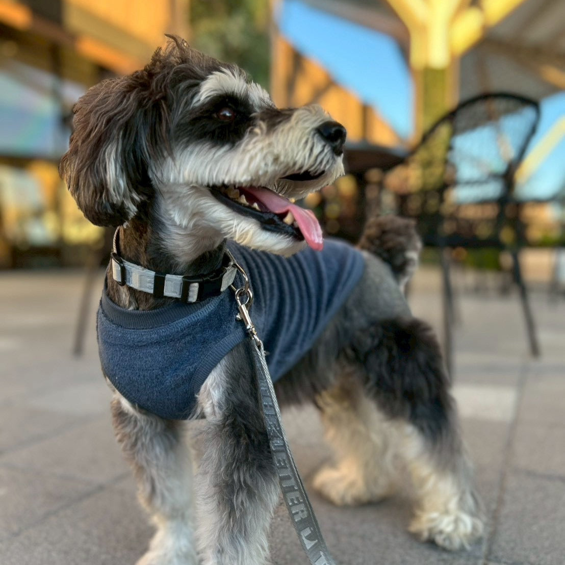 ベルギーリネン ストレッチパイルT