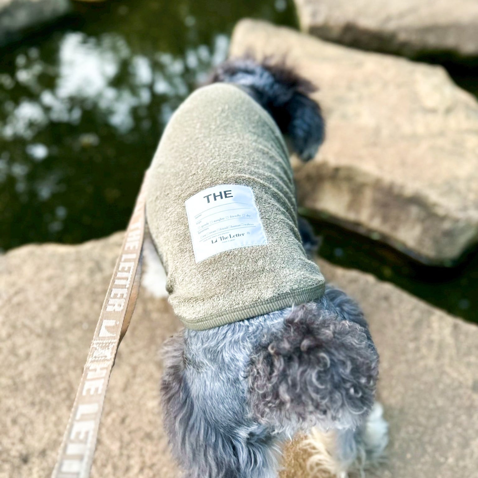 ベルギーリネン ストレッチパイルT