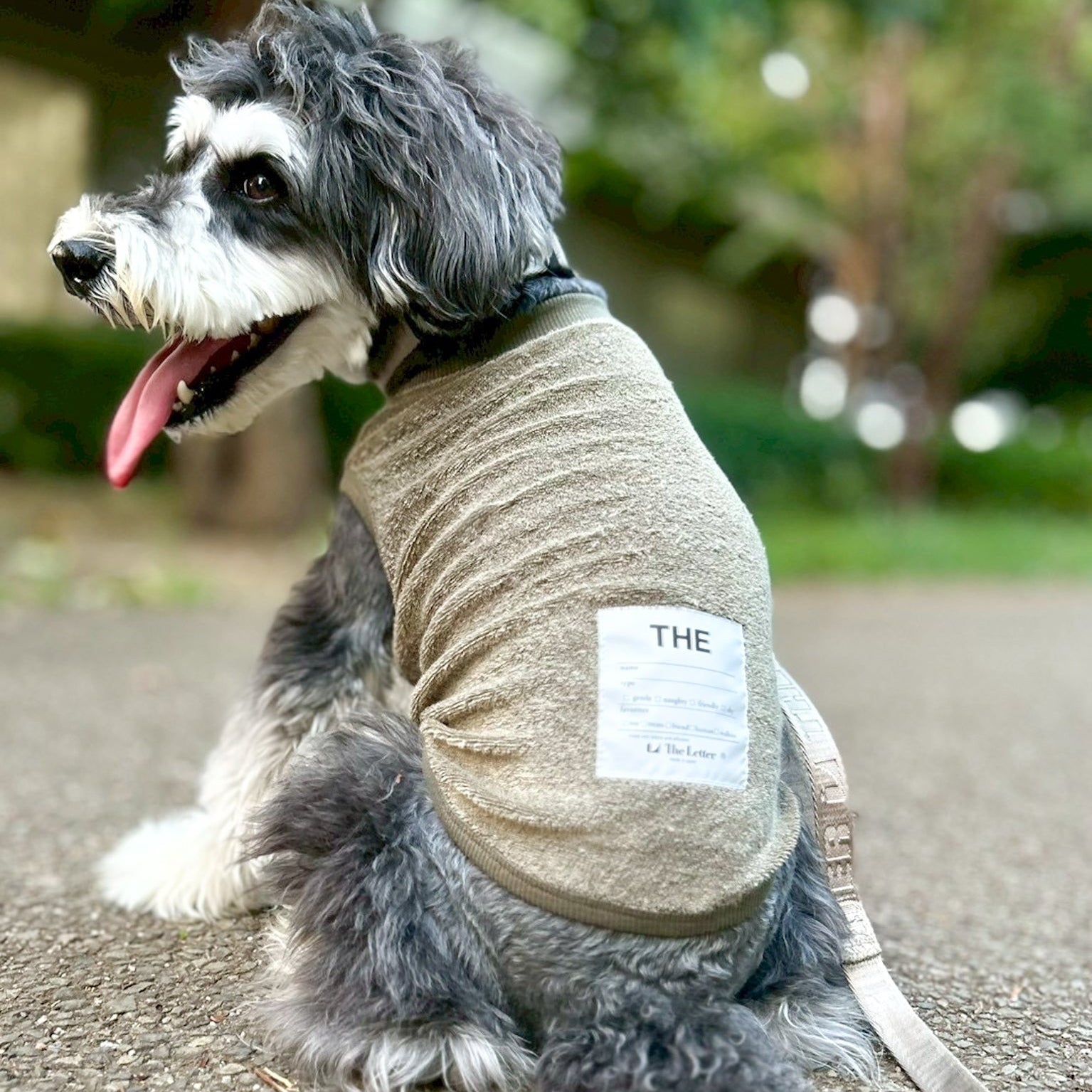 ベルギーリネン ストレッチパイルT