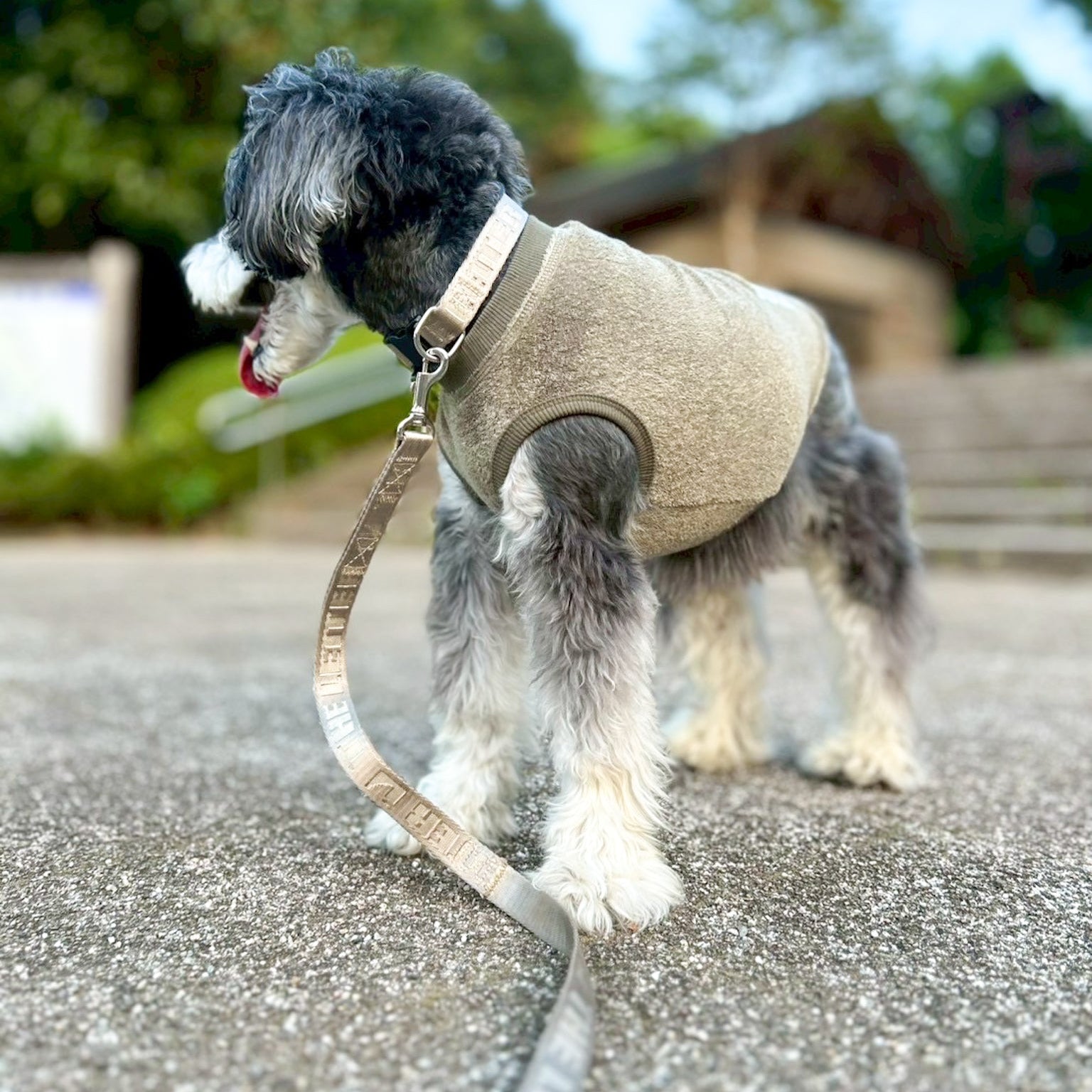 ベルギーリネン ストレッチパイルT