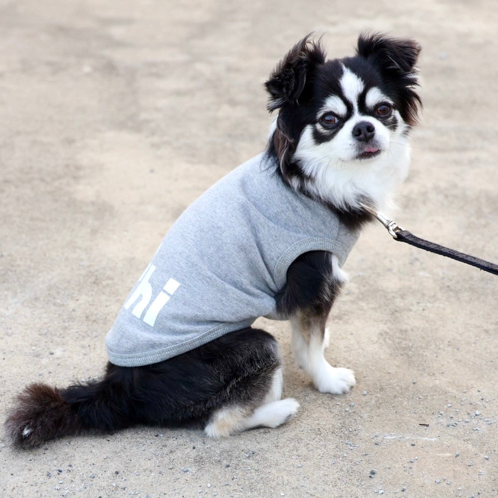 360 スーパーストレッチコットン裏毛”hi"蓄光T(ブラック/グレー)