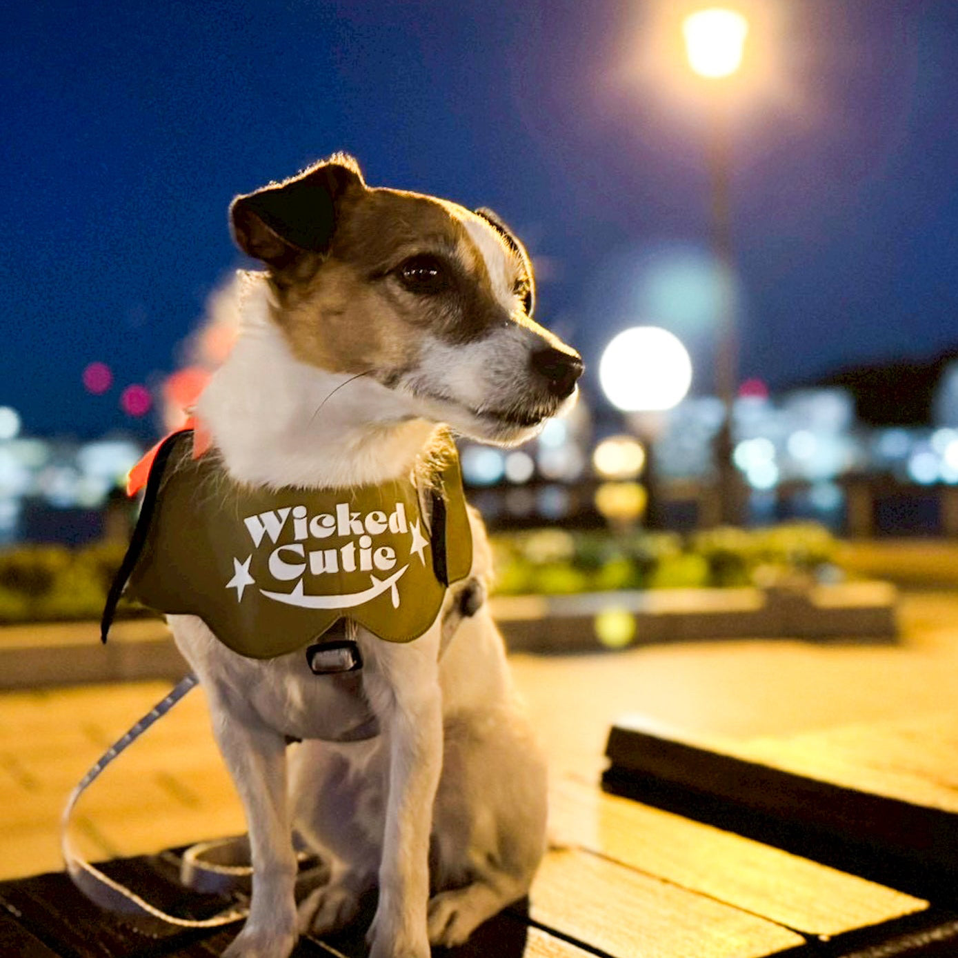 Wicked Cutie ハロウィンビブ