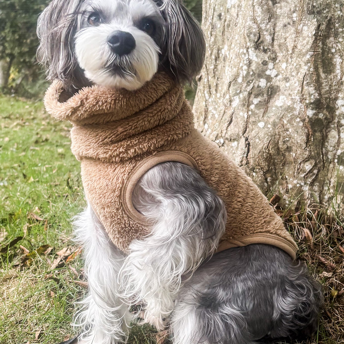 Newストレッチボアフリース スヌード