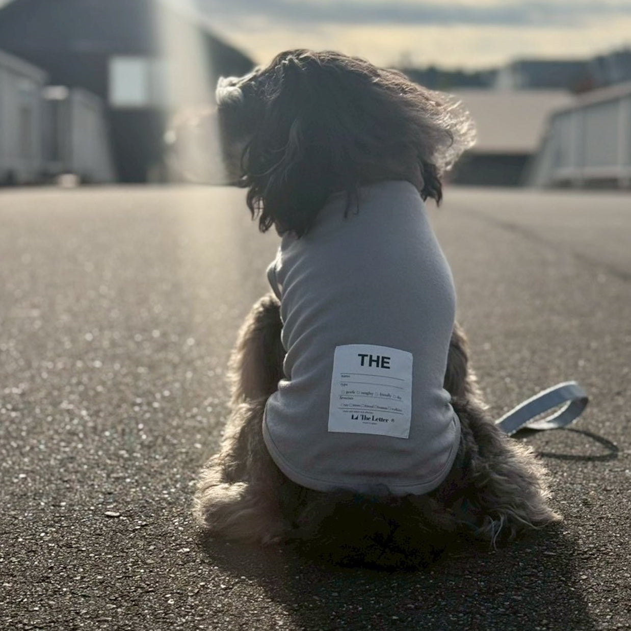 eco/THEスーパーストレッチ ウォーム T