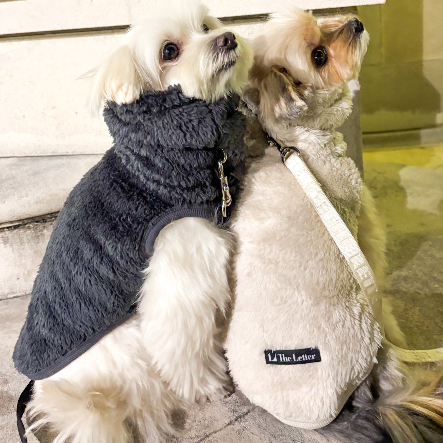 プレミアムBT ストレッチボアフリース T（ブルーグレー/スノーホワイト）