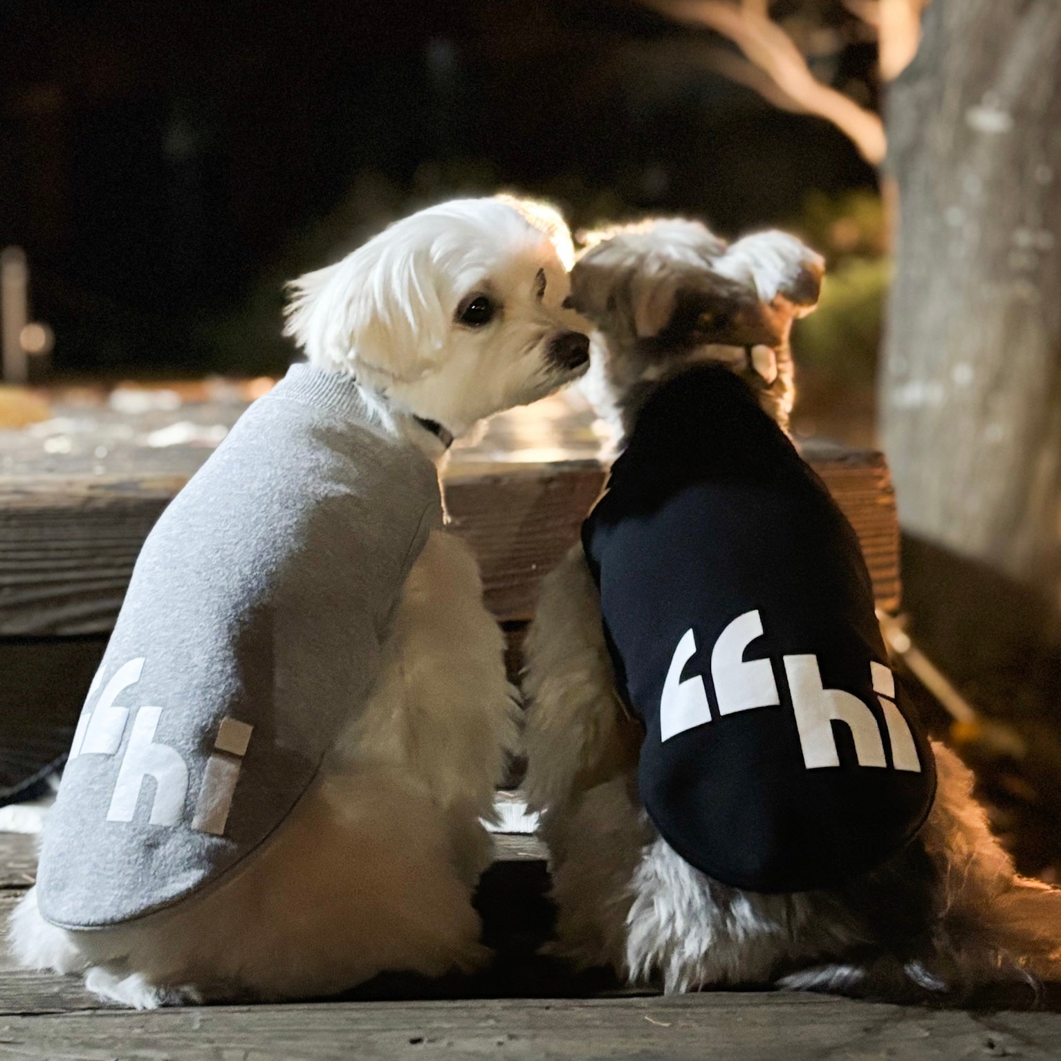 360 スーパーストレッチコットン裏毛”hi"蓄光T(ブラック/グレー)