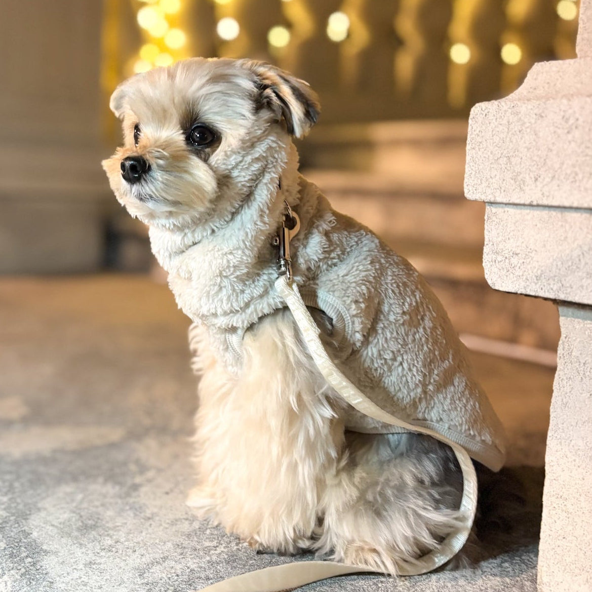 プレミアムBT ストレッチボアフリース T(ブルーグレー/スノーホワイト)