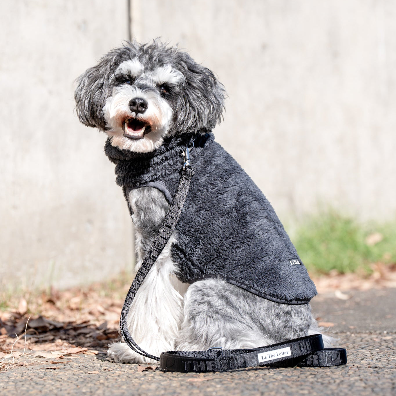 プレミアムBT ストレッチボアフリース T(ブルーグレー/スノーホワイト)