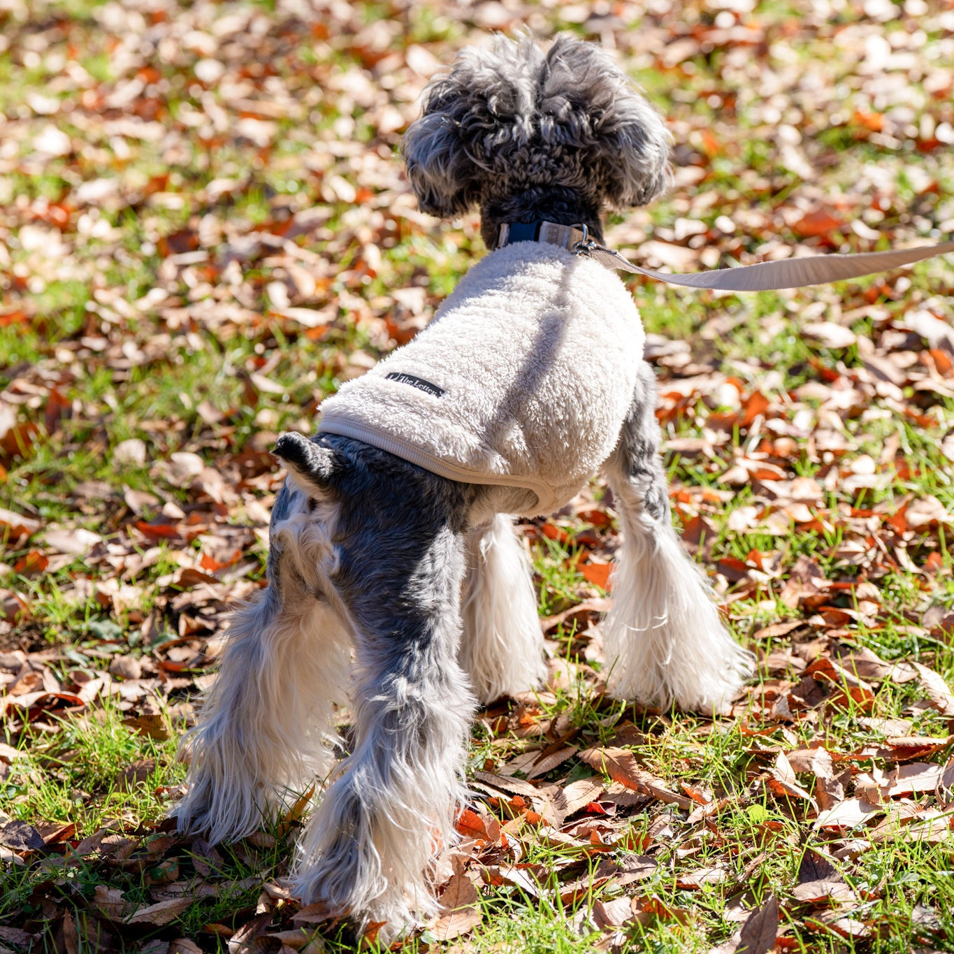 プレミアムBT ストレッチボアフリース T(ブルーグレー/スノーホワイト)