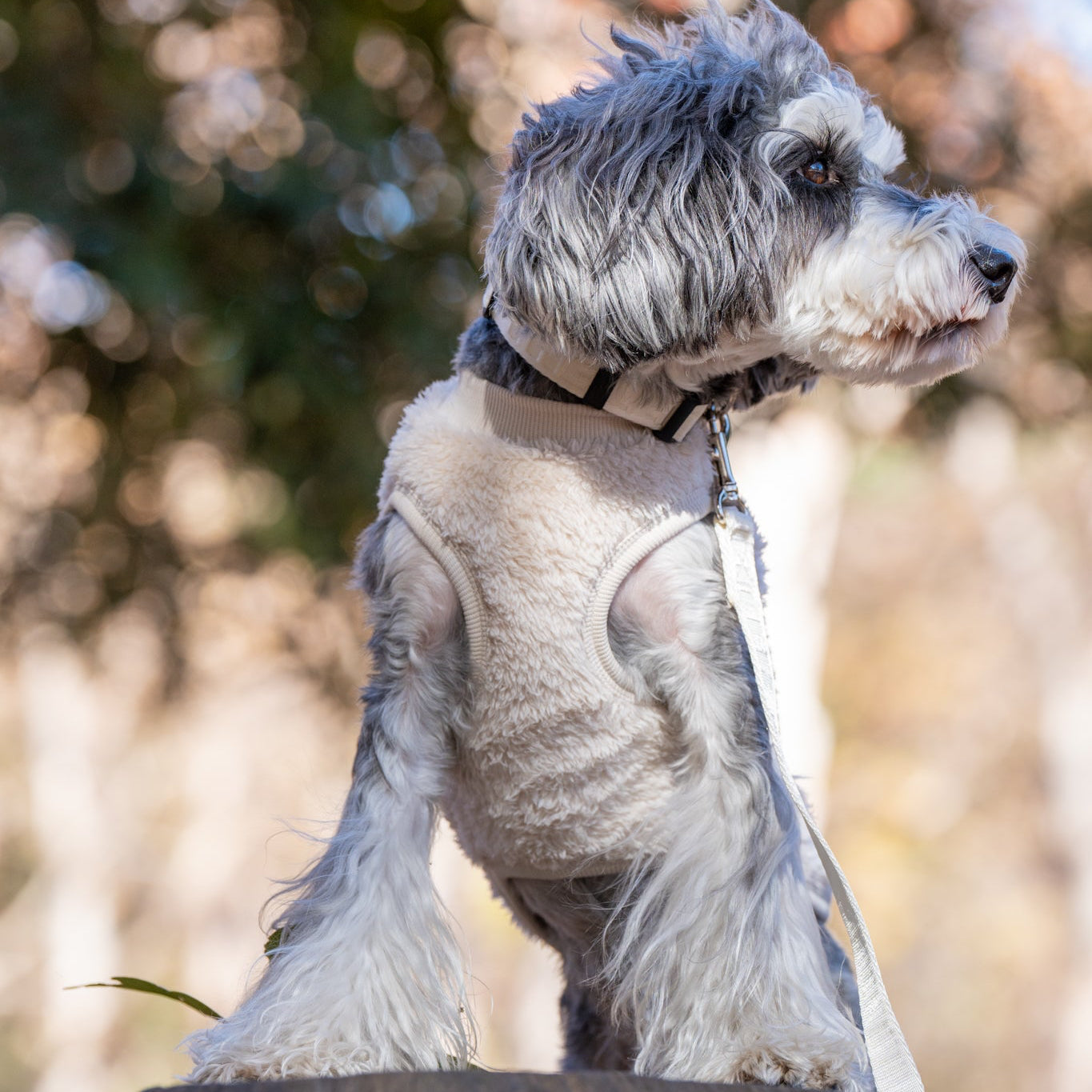 プレミアムBT ストレッチボアフリース T(ブルーグレー/スノーホワイト)