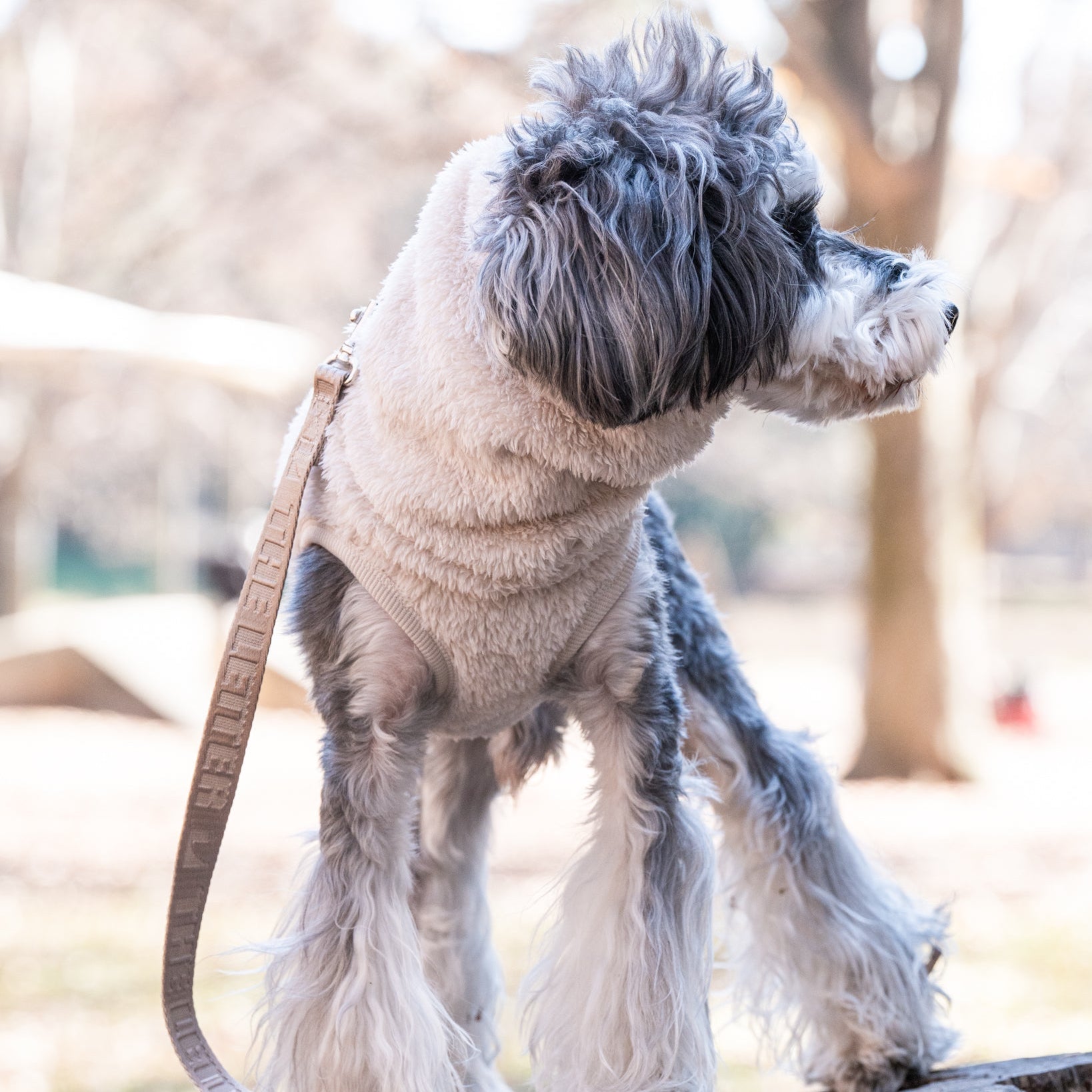 プレミアムBT ストレッチボアフリース スヌード(ブルーグレー/スノーホワイト)