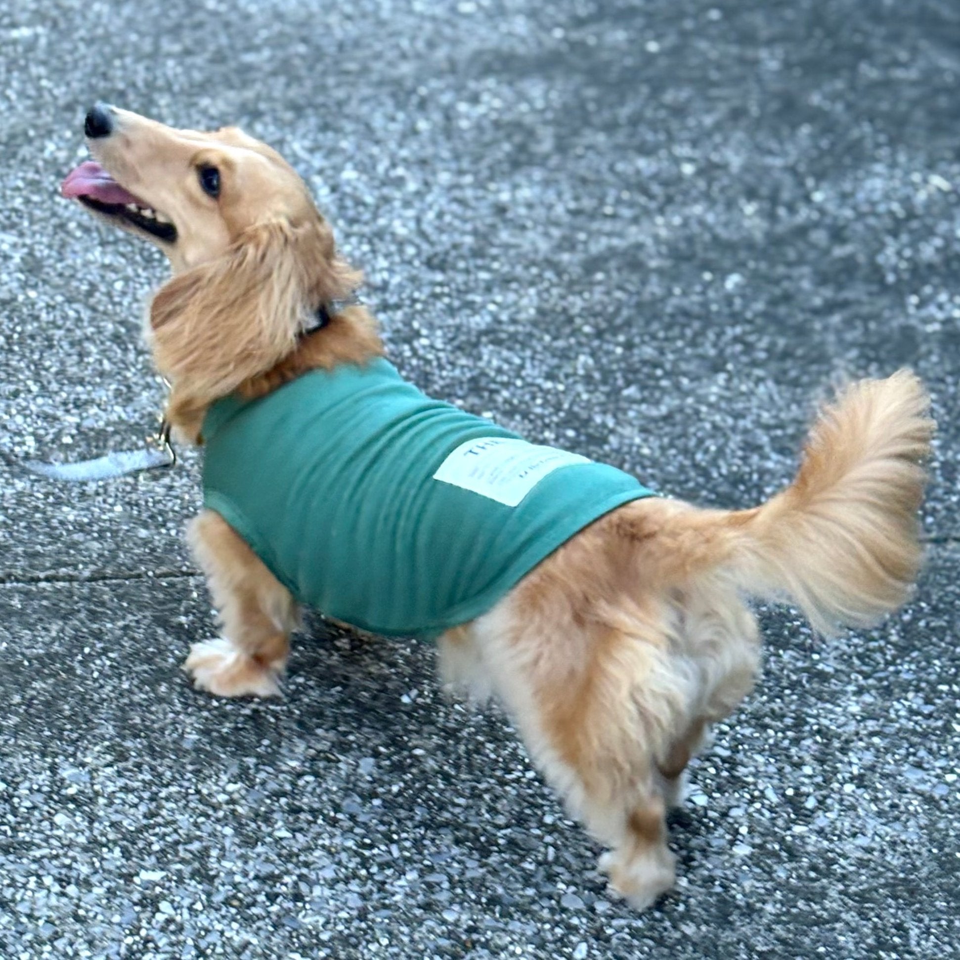 eco/THEスーパーストレッチ ウォーム T