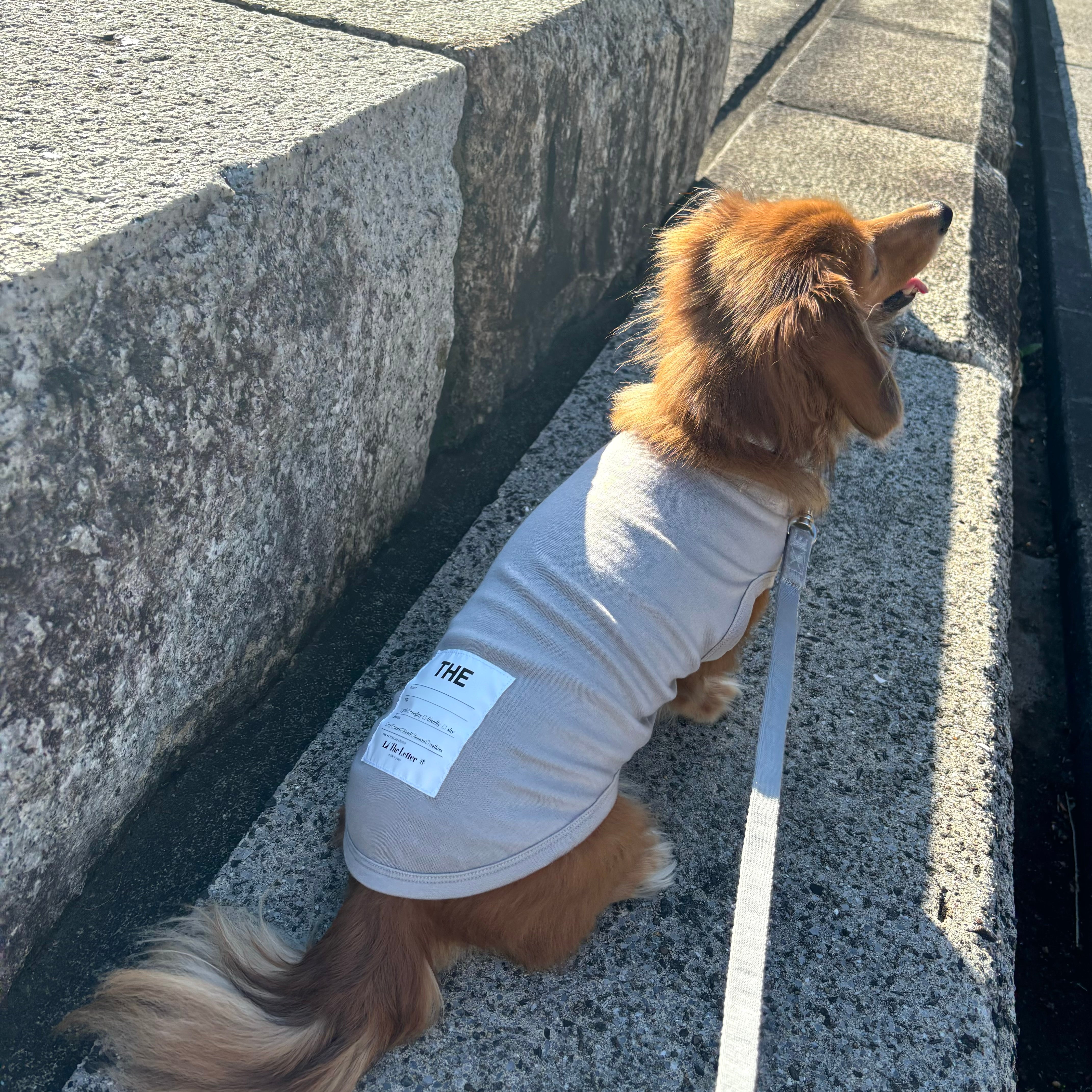 eco/THEスーパーストレッチ ウォーム T