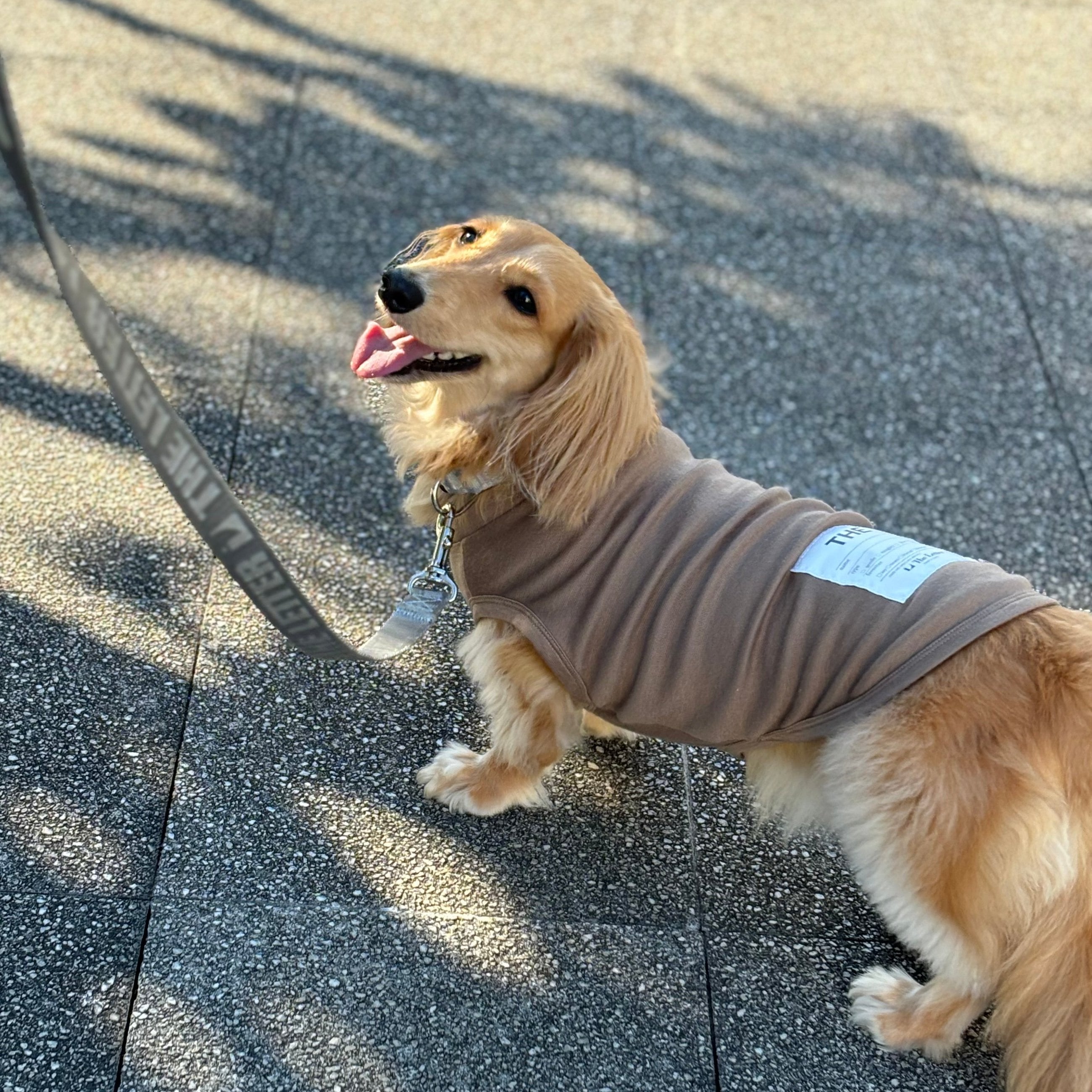 eco/THEスーパーストレッチ ウォーム T