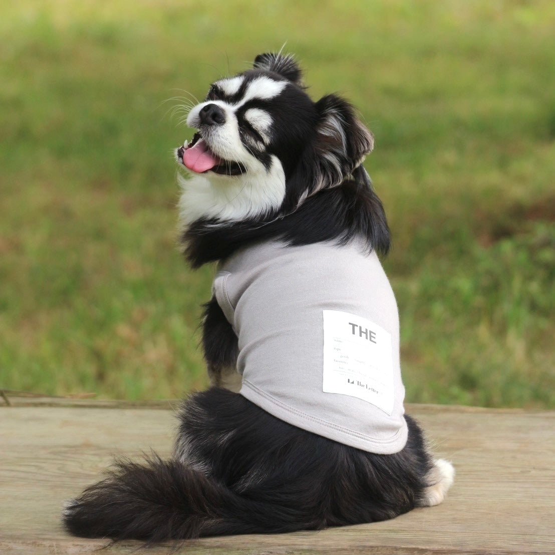 eco/THEスーパーストレッチ ウォーム T