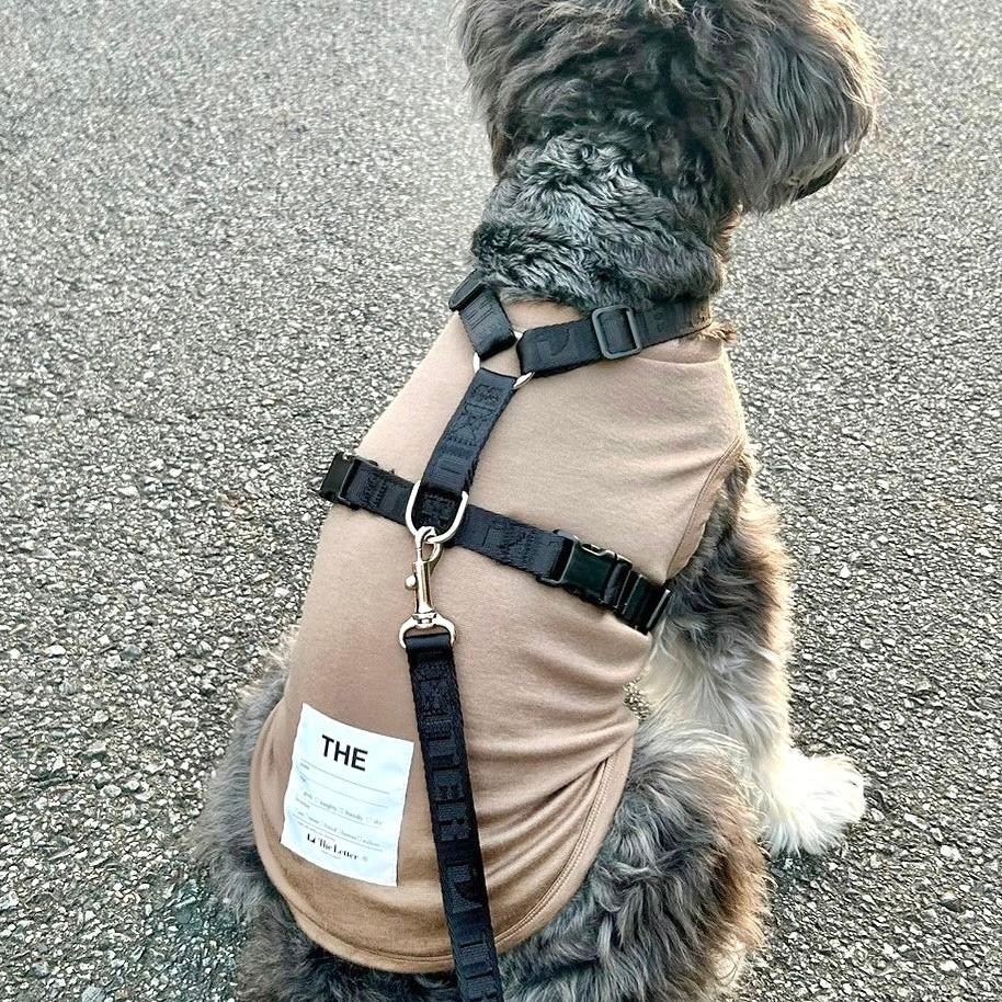 eco/THEスーパーストレッチ ウォーム T