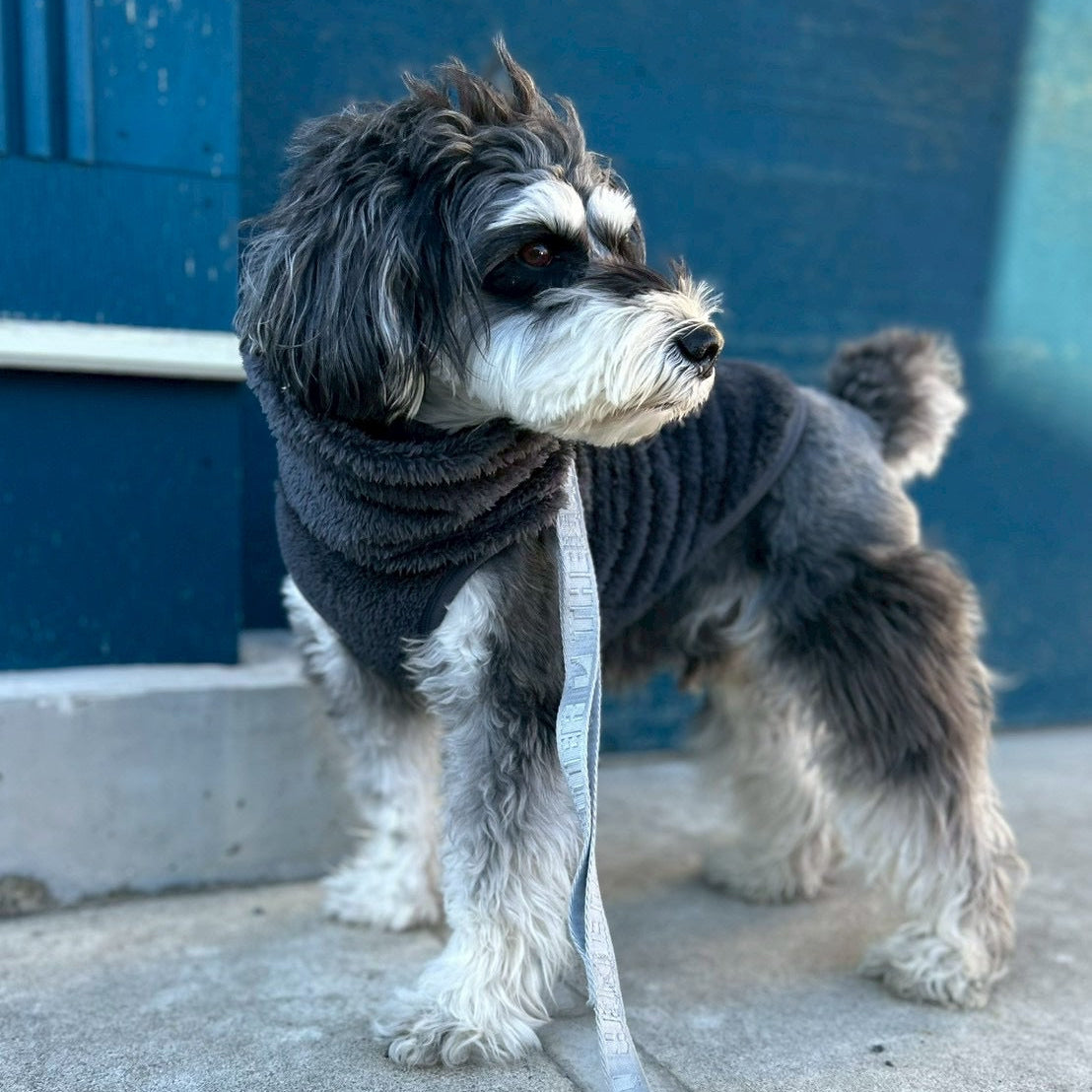 プレミアムBT ストレッチボアフリース スヌード(ブルーグレー/スノーホワイト)