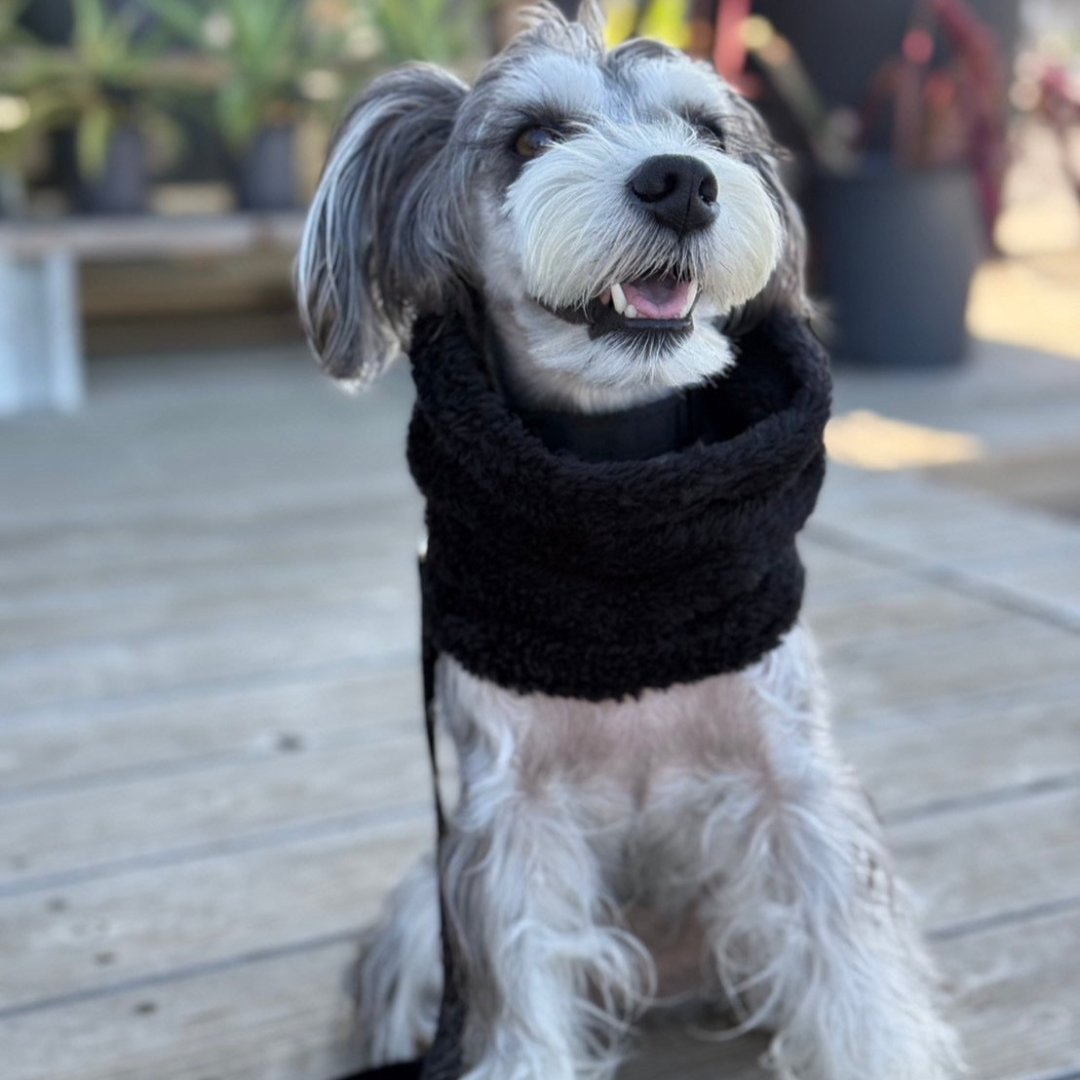 Newストレッチボアフリース スヌード