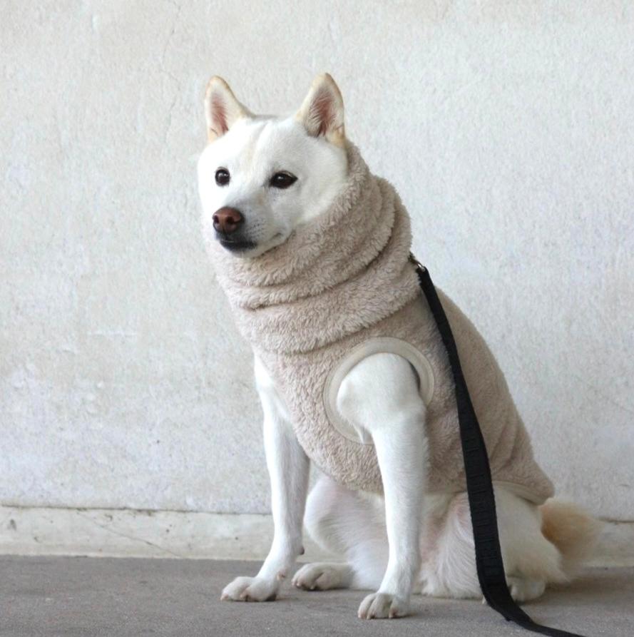 New ストレッチボアフリース T